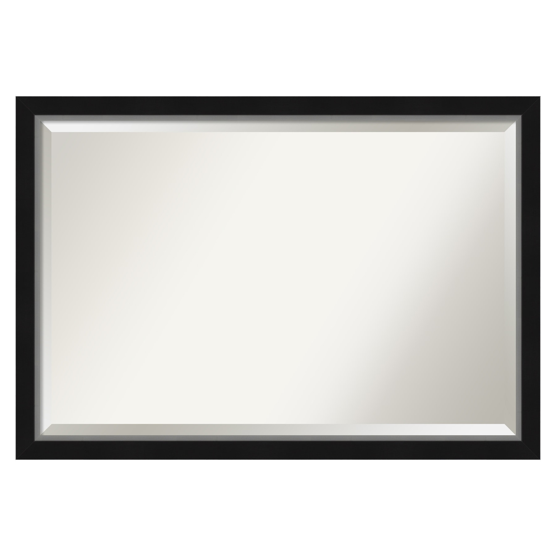 Amanti Art Eva Black Silver Narrow Framed Wall Mirror - 19.12 x 23.12 in