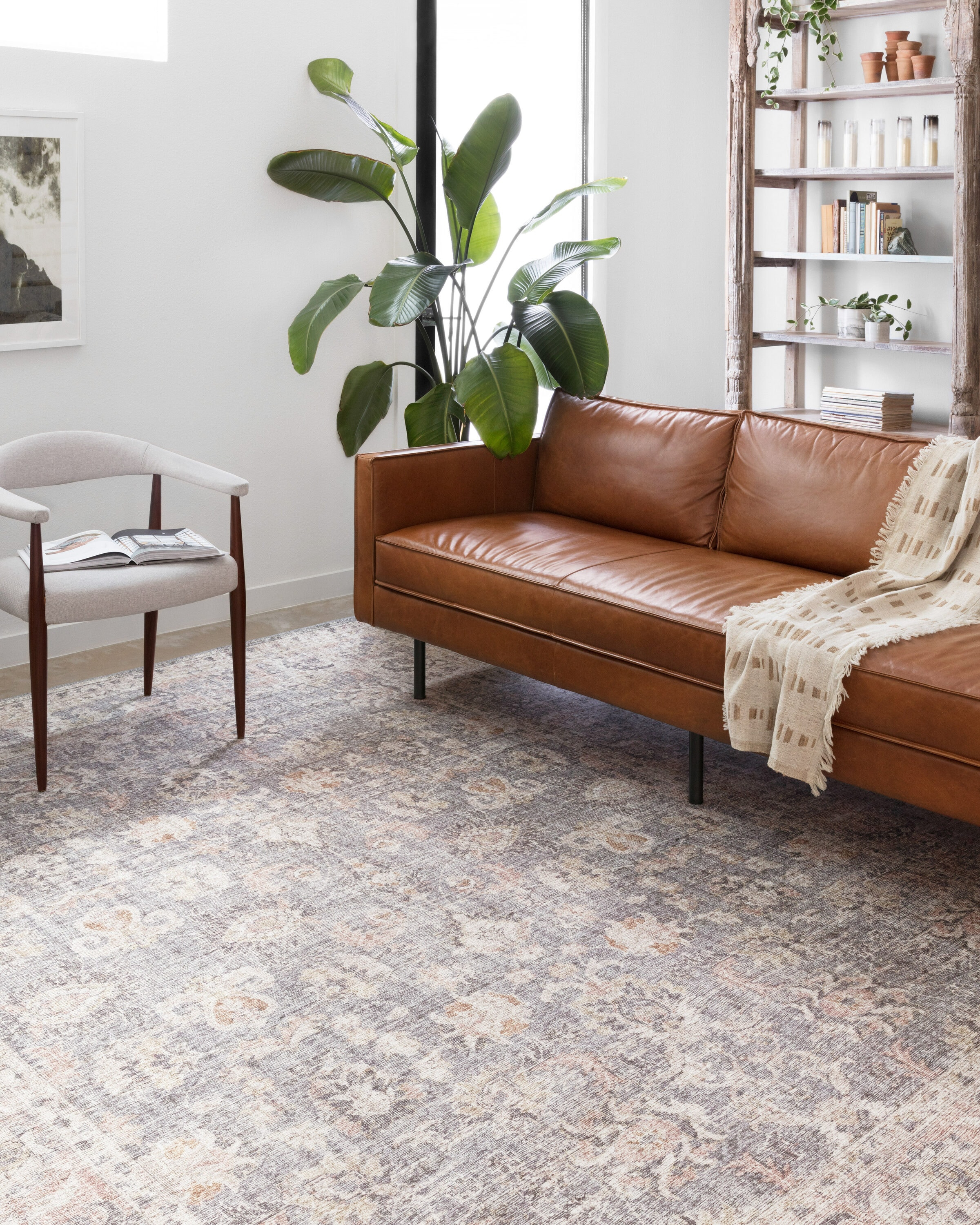 Loloi II Skye Oriental Grey / Apricot Area Rug