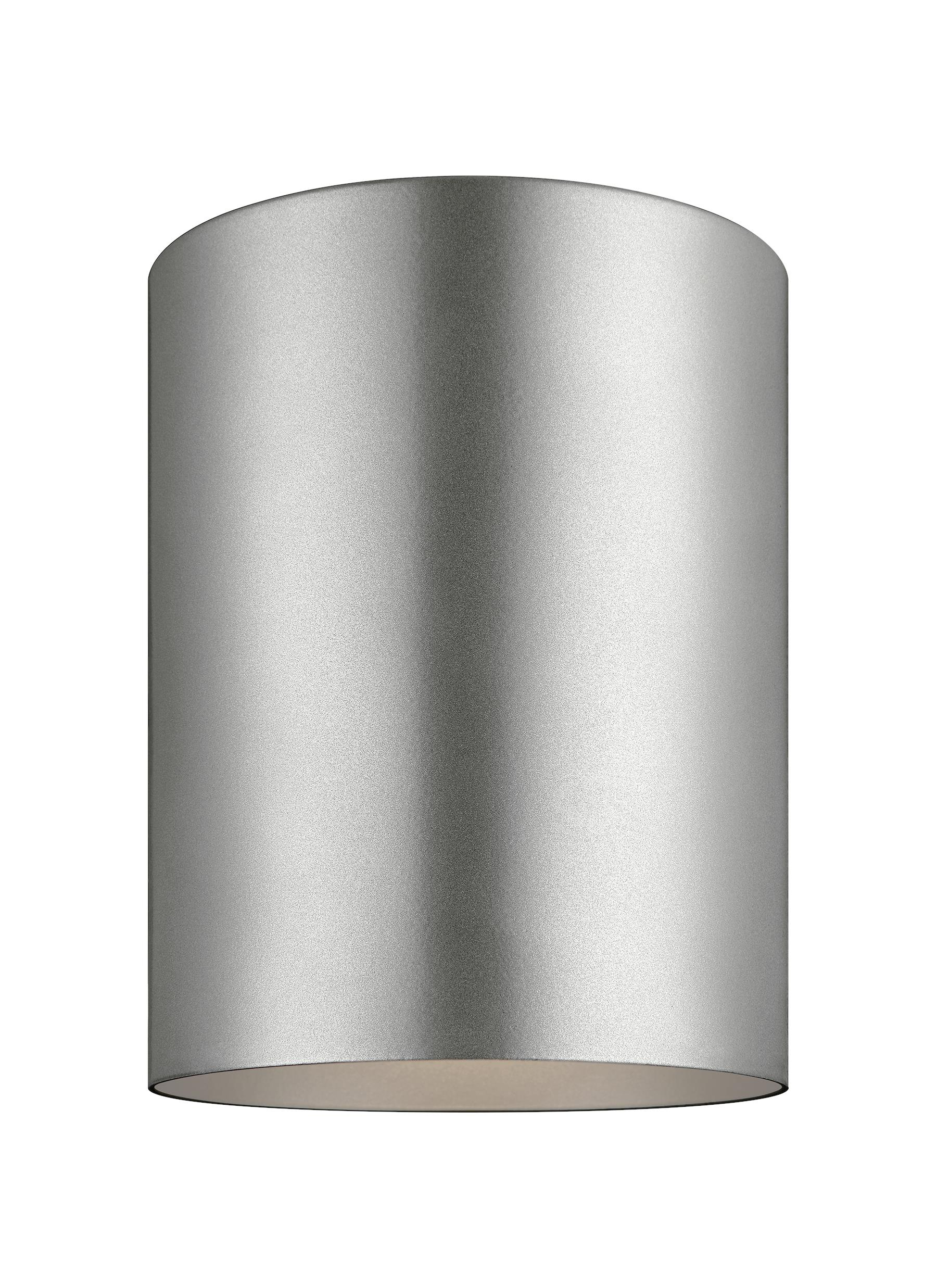 Transitional Small Outdoor LED Flush Mount in Painted Brushed Nickel