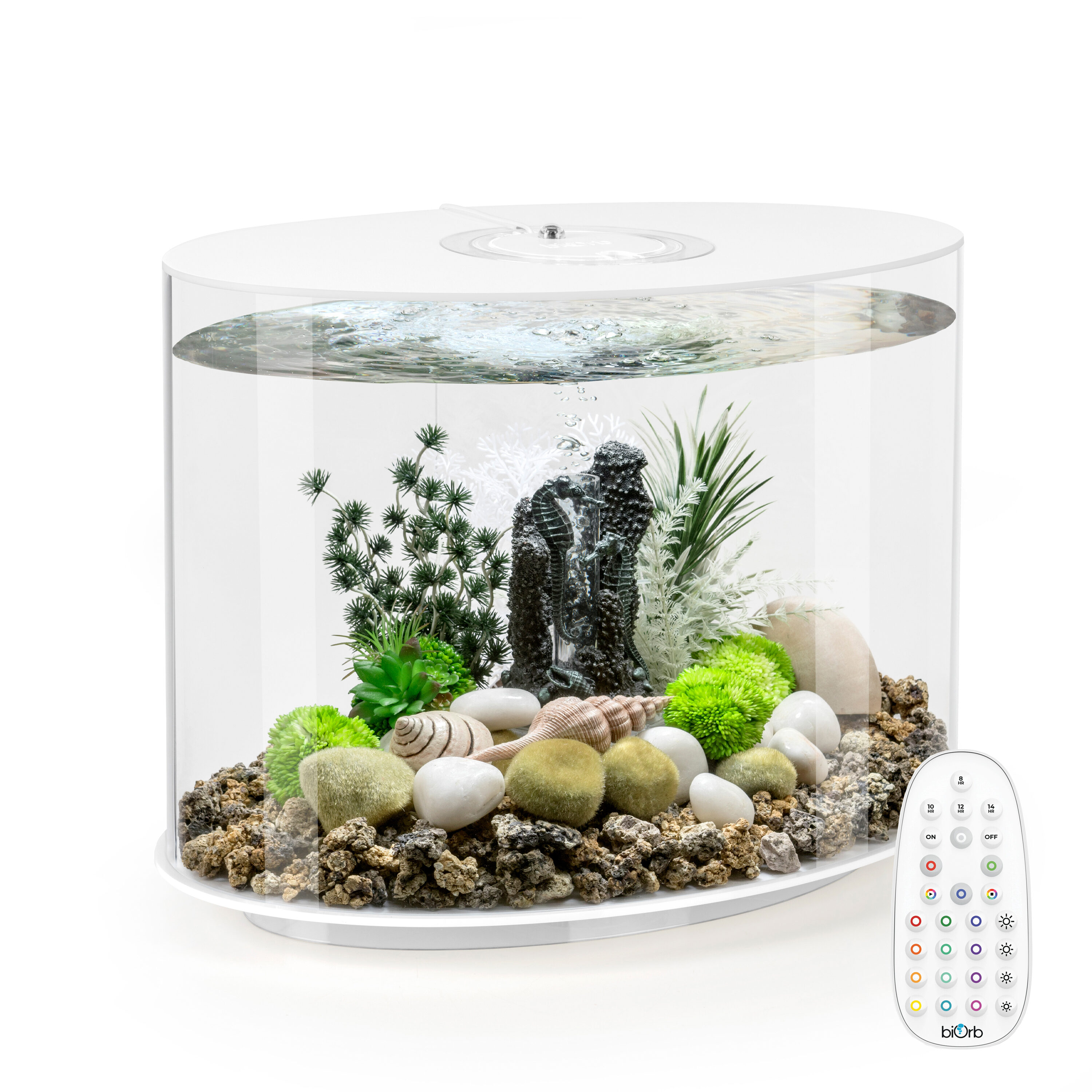 biOrb LOOP 30 Aquarium with MCR Light - 8 Gallon, White, Acrylic