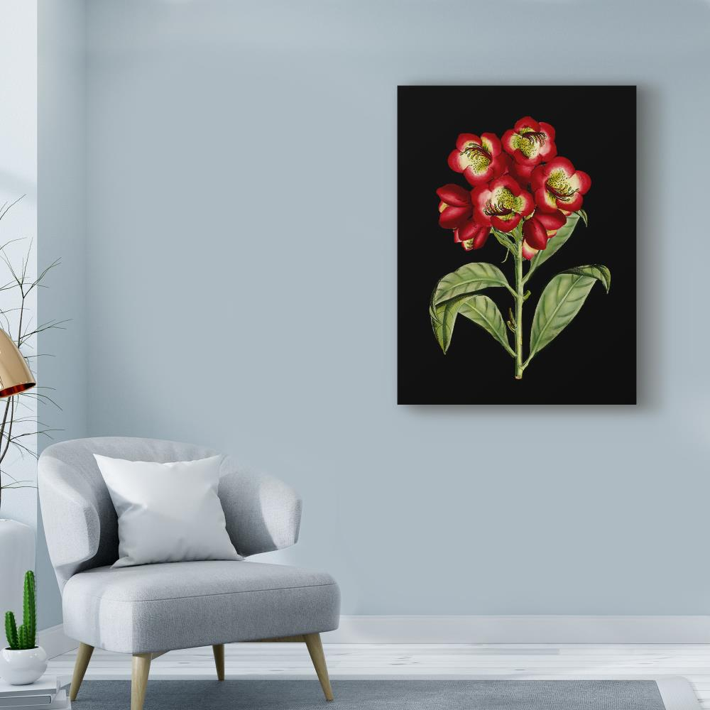 Trademark Fine Art 'Crimson Flowers on Black III' Canvas Art by Unknown