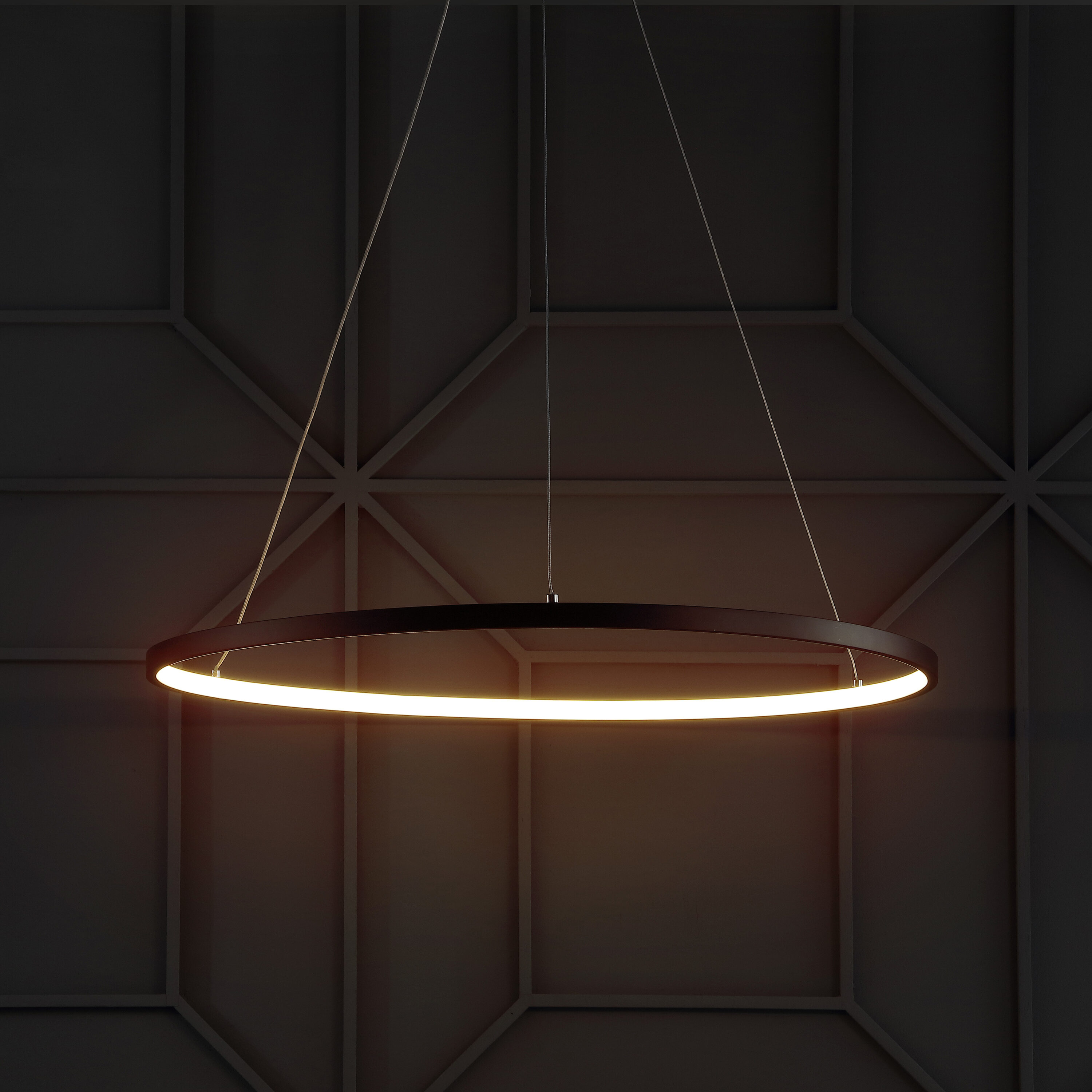 Brice 23.75″ Modern Contemporary Iron Integrated LED Pendant, Matt Black