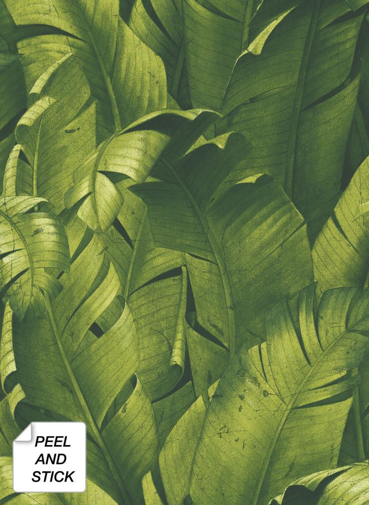 NextWall NW31000 Tropical Banana Leaves Peel & Stick Wallpaper, Green