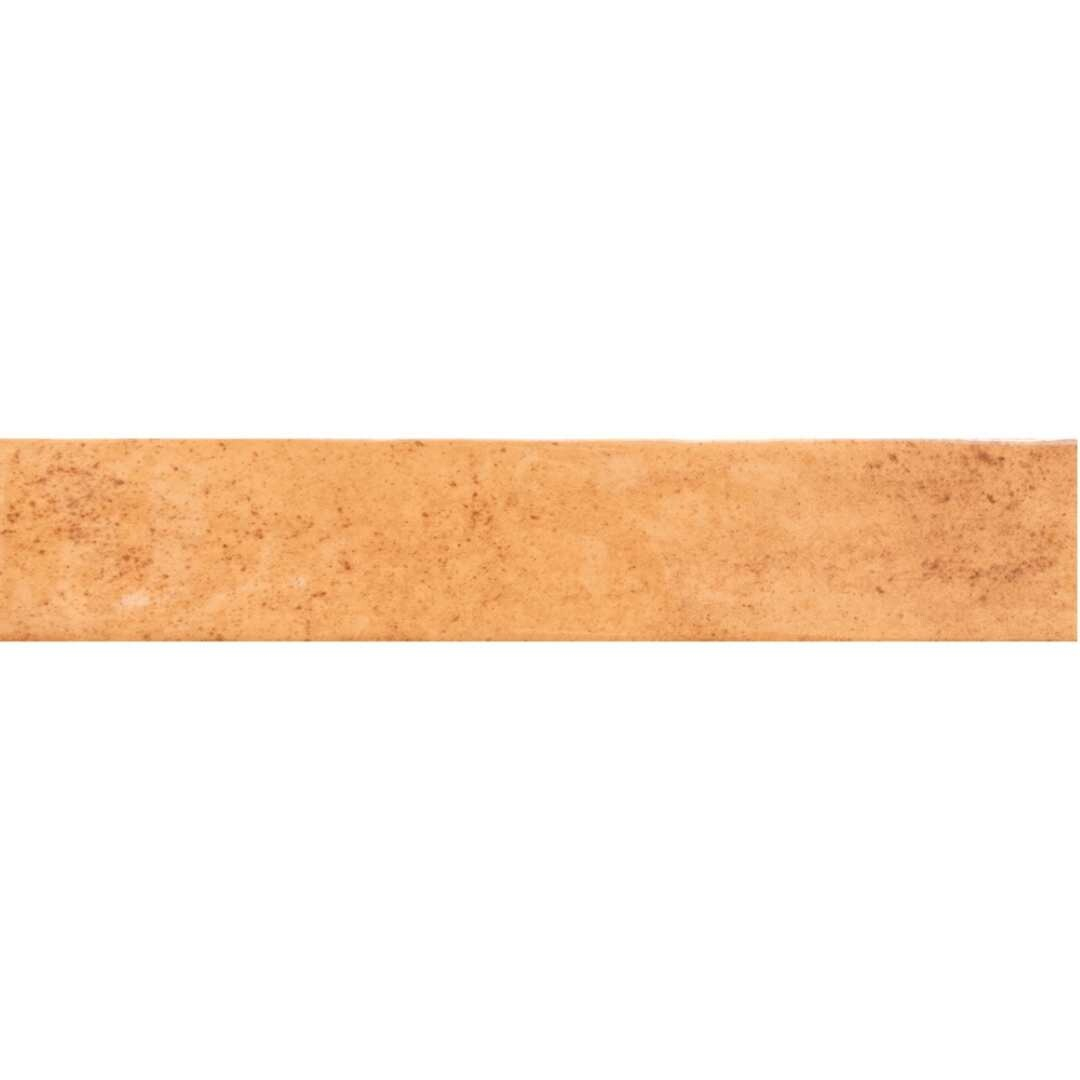 The Tile Life Ibiza 2x10 Terracotta Glossy Ceramic Subway Wall Tile - 2x10 Sample