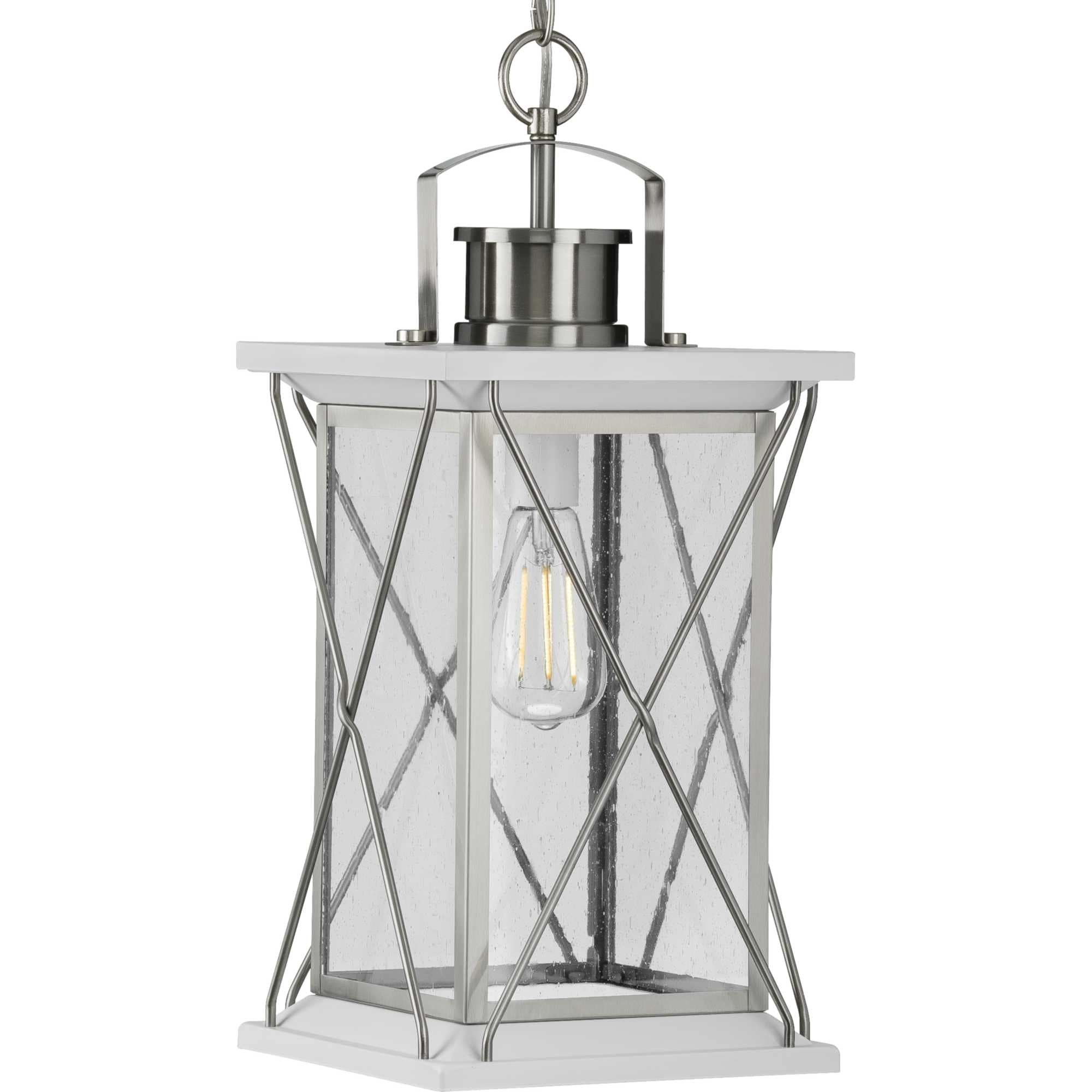 Progress Lighting Barlowe 1-Light Outdoor Hanging Lantern, Stainless Steel, Seeded Glass