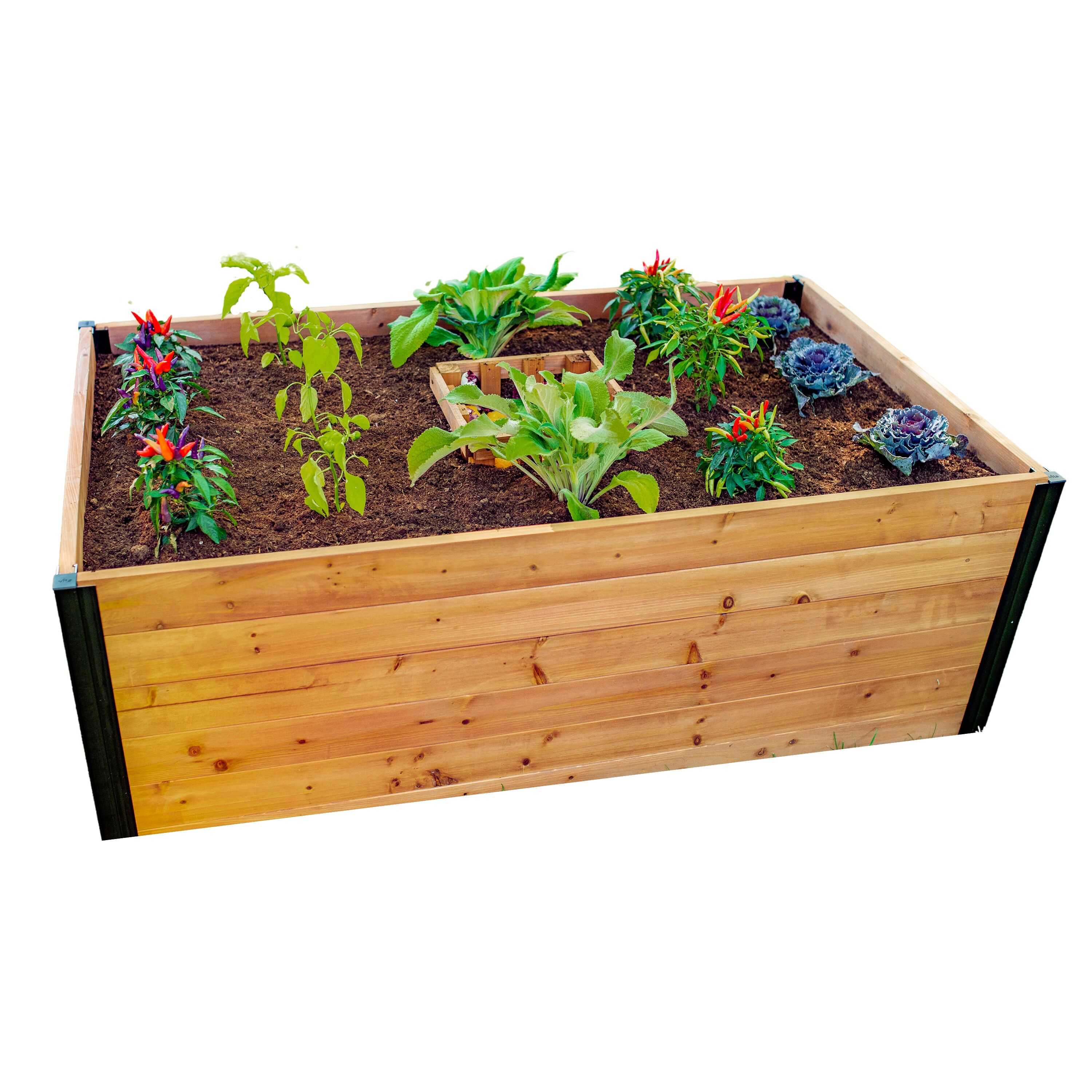 Vita Mezza 3' L x 5' W Cedar Keyhole Composting Garden, Golden Brown, VT17702