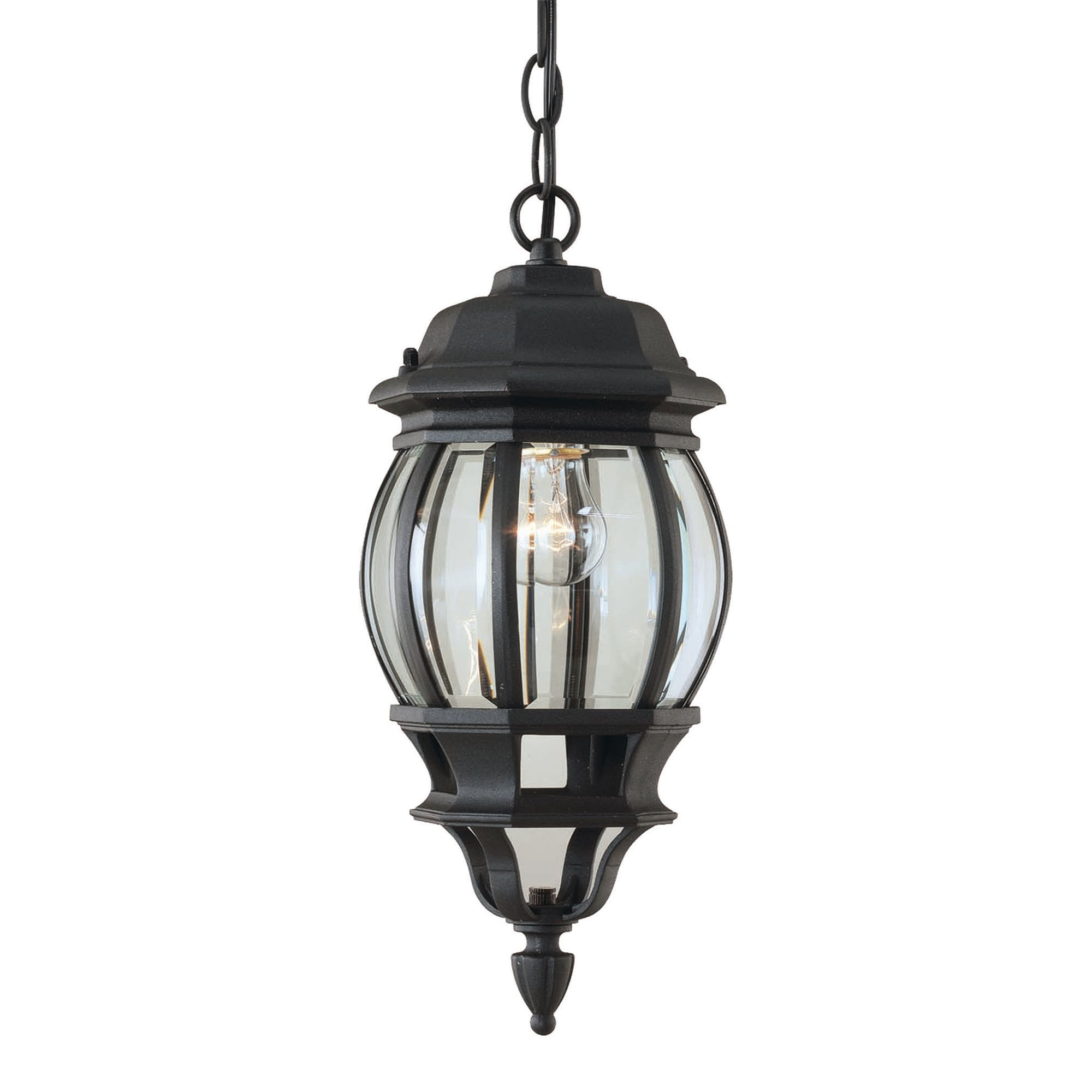 Forte Lighting 1702-01 Outdoor Pendant From The Exterior Lighting Collection - Black