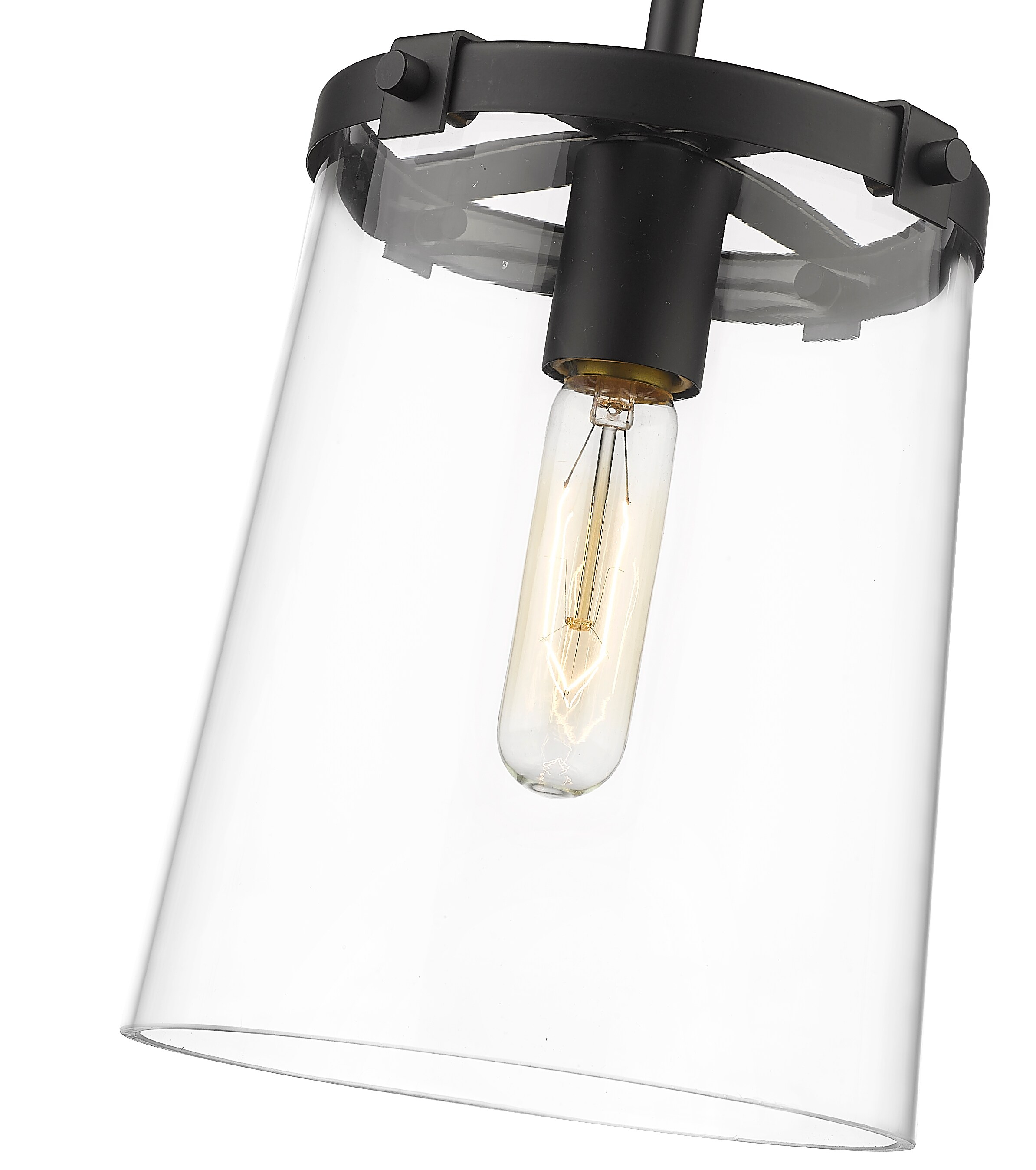 Z-Lite Callista 1 - Light Pendant in  Matte Black