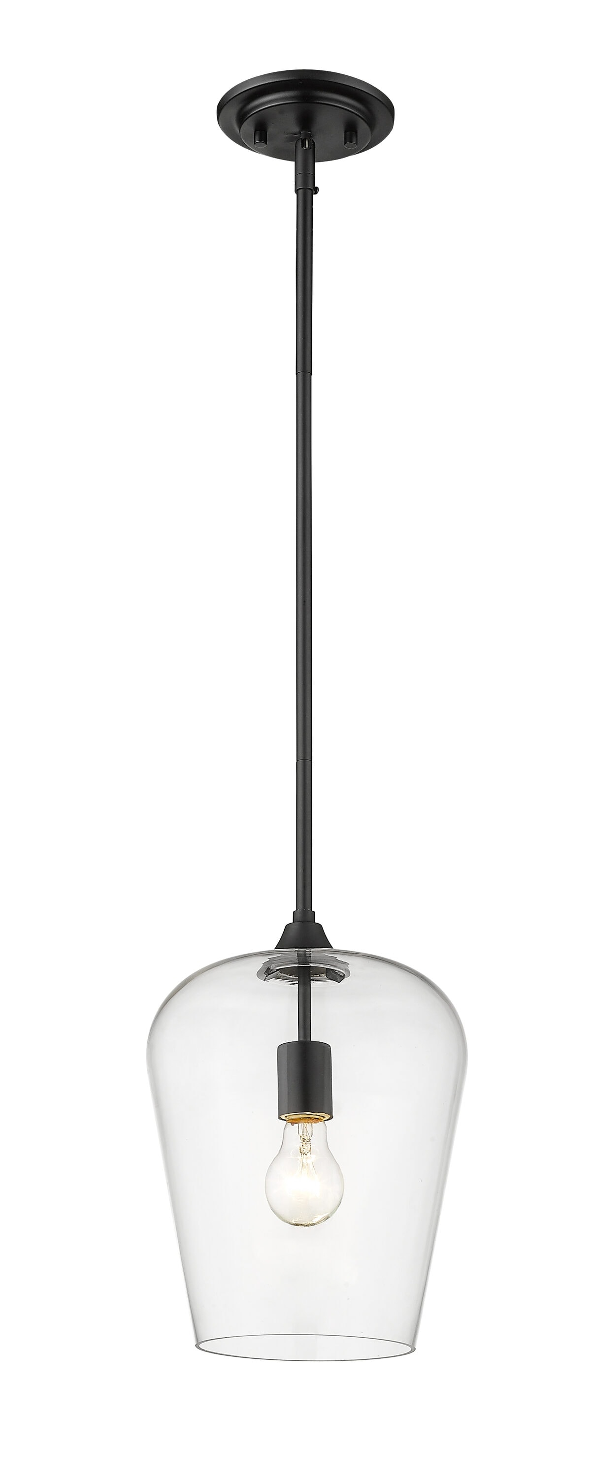Z-Lite Joliet 1 - Light Pendant in  Matte Black