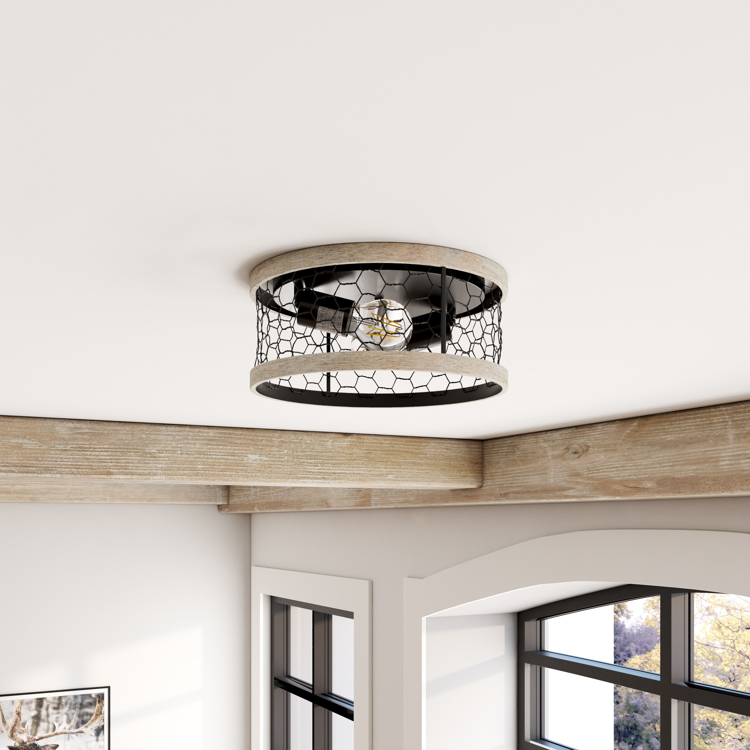 Golden Lighting Bailey 2-Light Flush Mount in Matte Black with Chicken Wire