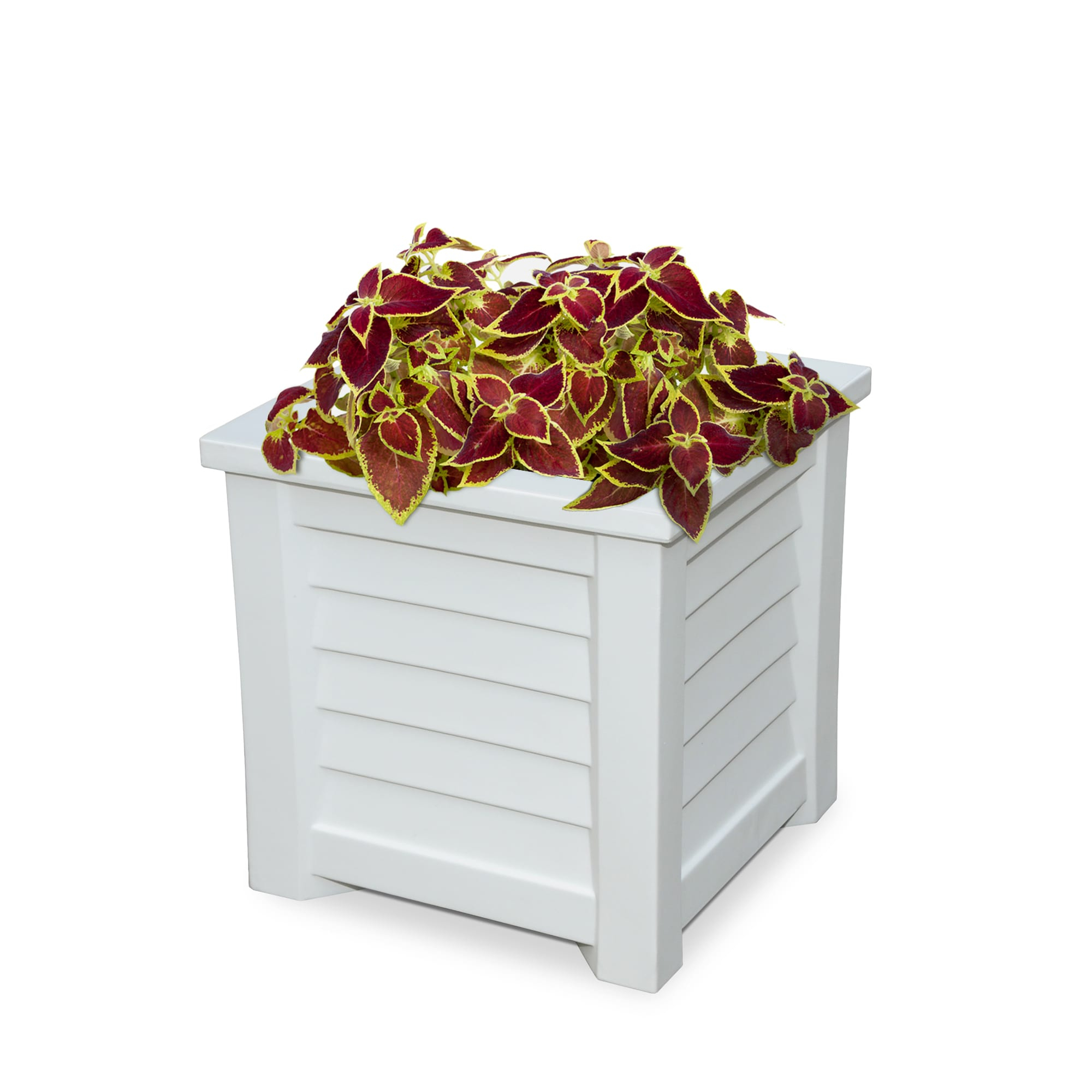 Lakeland 16" x 16" x 16" Square White Self-Watering Polyethylene Planter