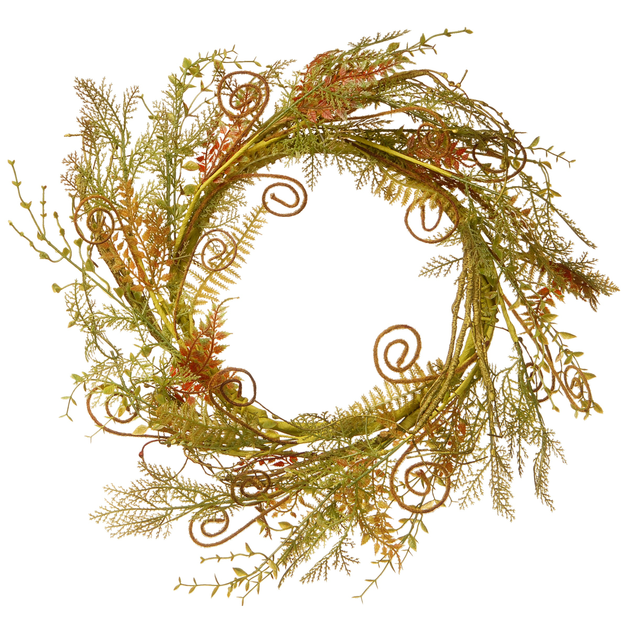 Springtime Serenity 22" Artificial Fern & Branch Wreath