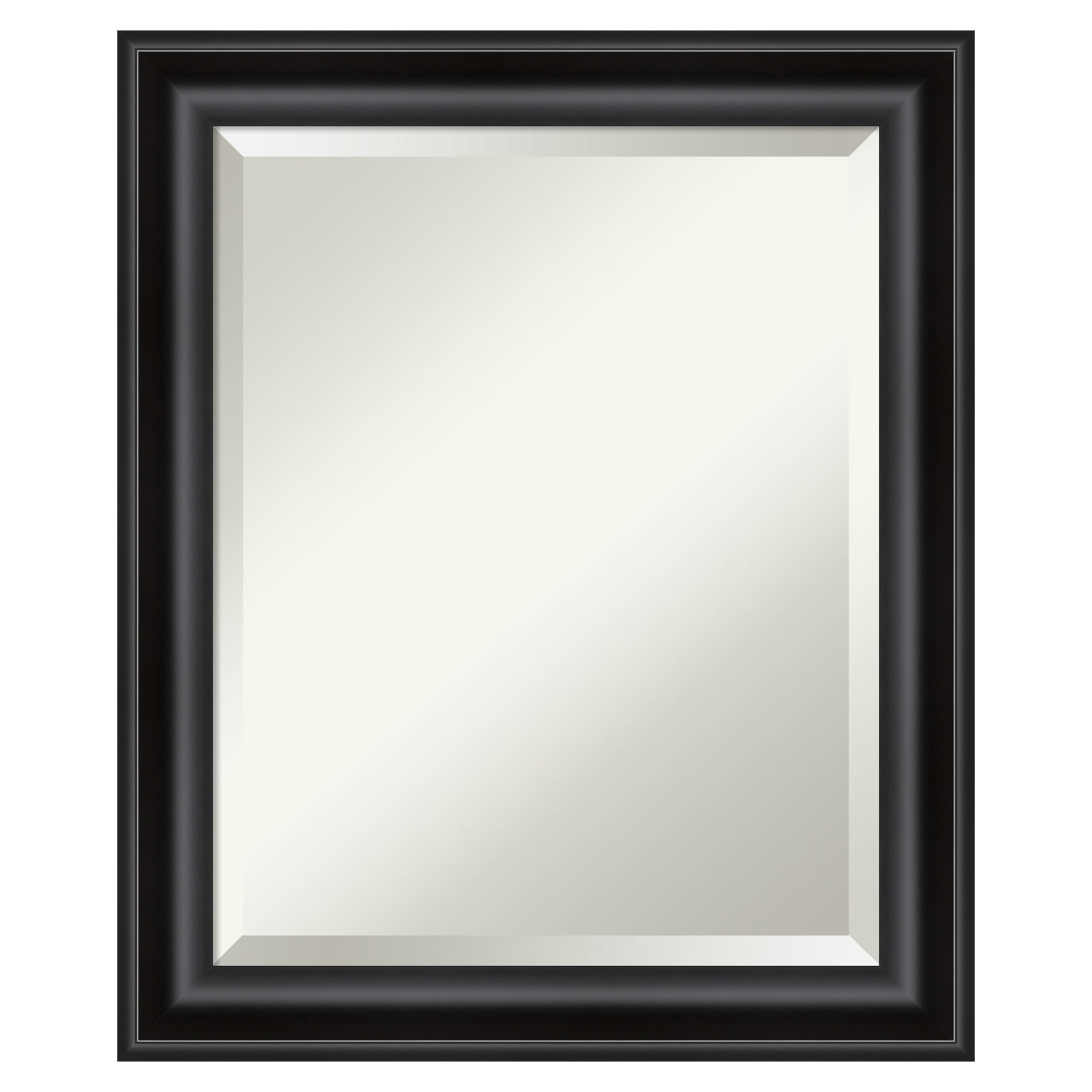 Amanti Art Dsw4593057 23-7/8" X 19-7/8" Rectangular Beveled Polystyrene Framed Wall