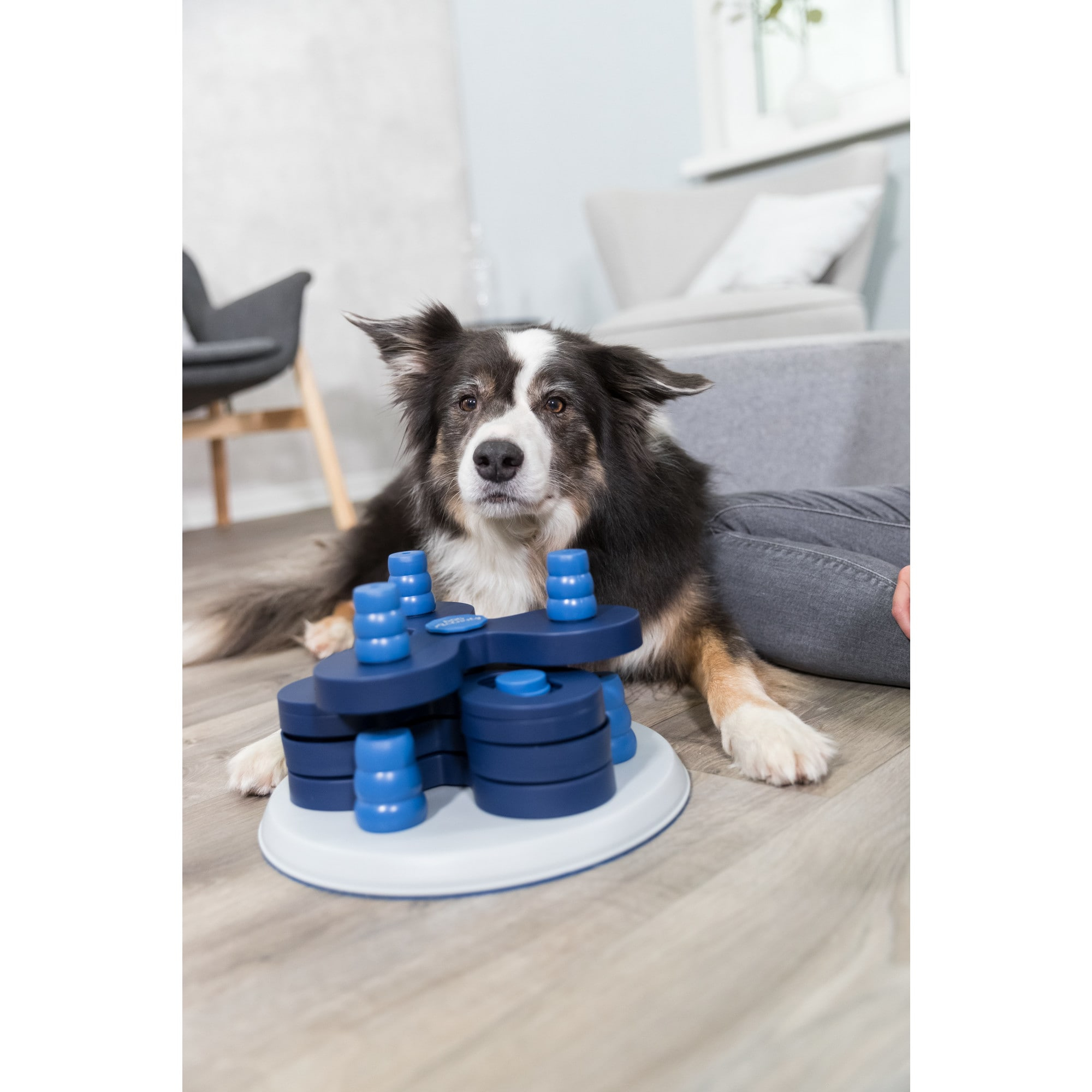 TRIXIE Dog Activity Flower Strategy Game, Level 3, Advanced Dog Puzzle Toy, Treat Dispenser
