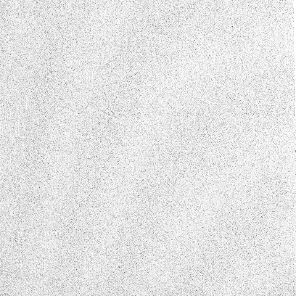 Armstrong Ceilings 2-ft x 2-ft CALLA White Mineral fiber Drop Ceiling Tile ( 10 -Pack, 40-sq ft / Case )