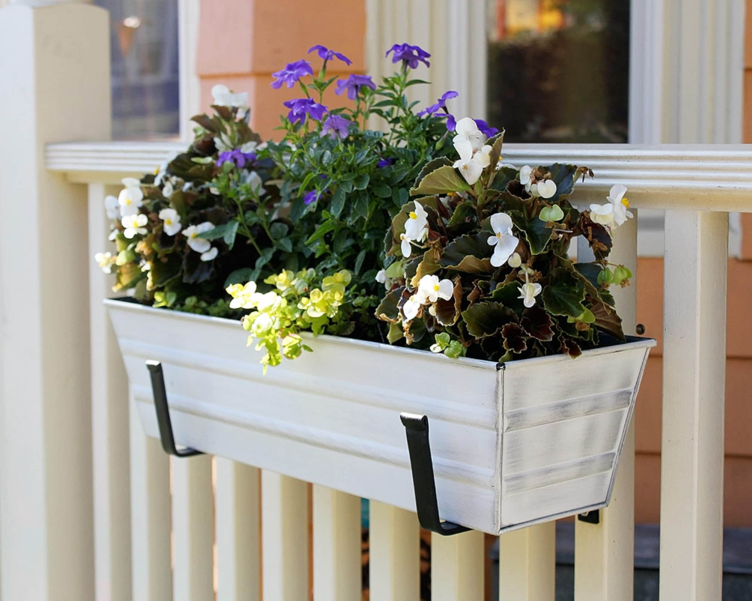 Achla Designs SFB-01 Wall-Mount, 6 inch Flower Window Box Planter Bracket, 6-inch, Black