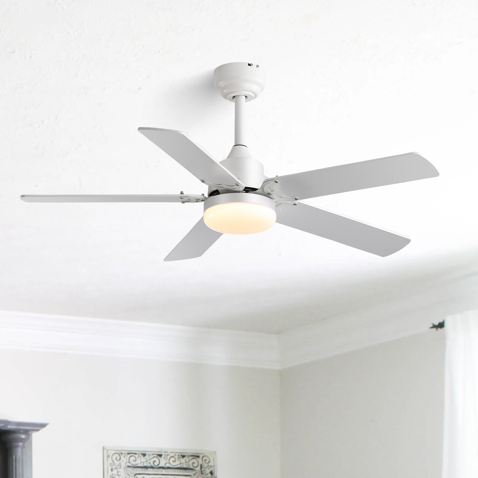 42" Plywood Blades Ceiling Fan with LED light and Remote, Flush Mount and Downrod Mount White (White/light wood grain blades)