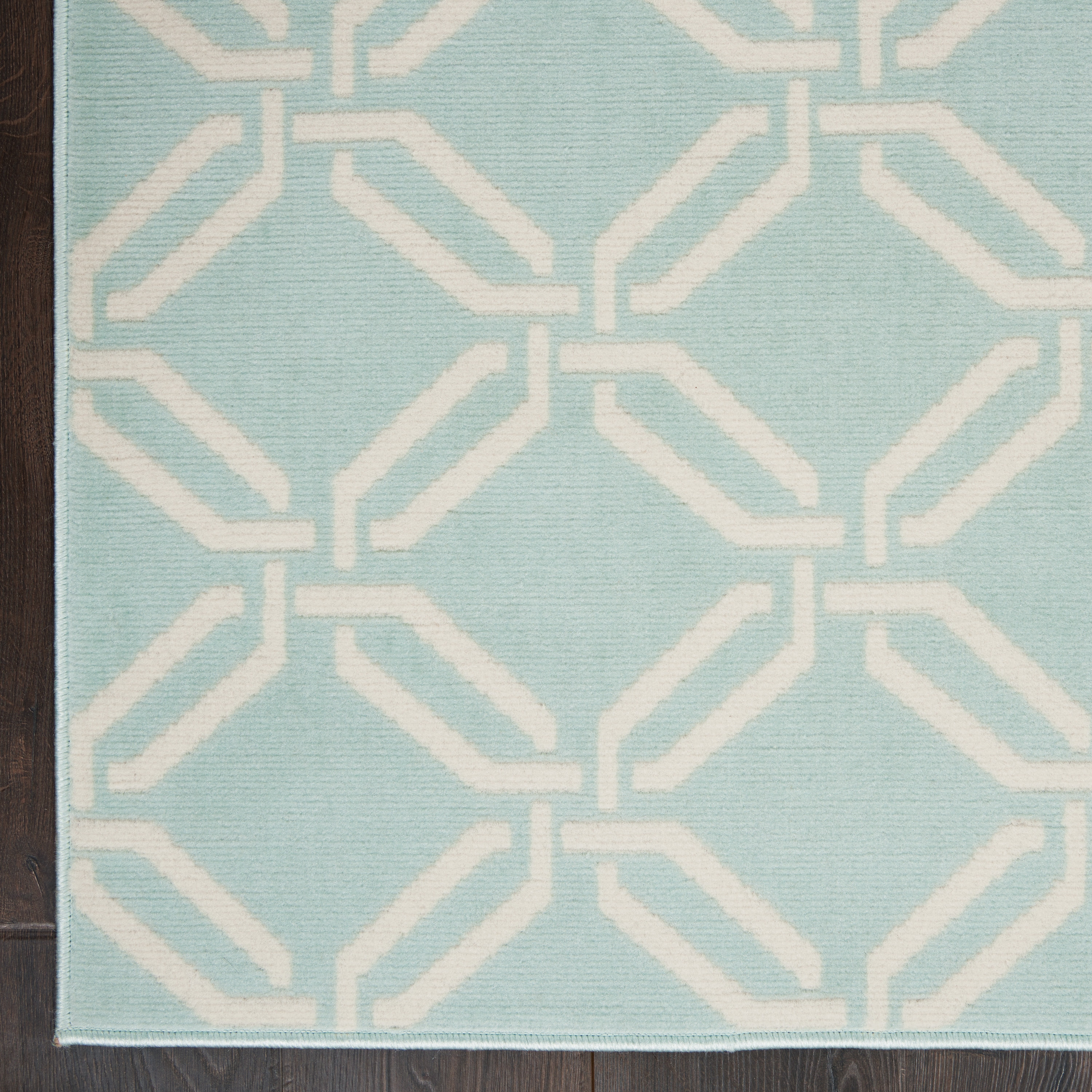 Nourison Jubilant Trellis Green 4' x 6' Area Rug, (4x6)