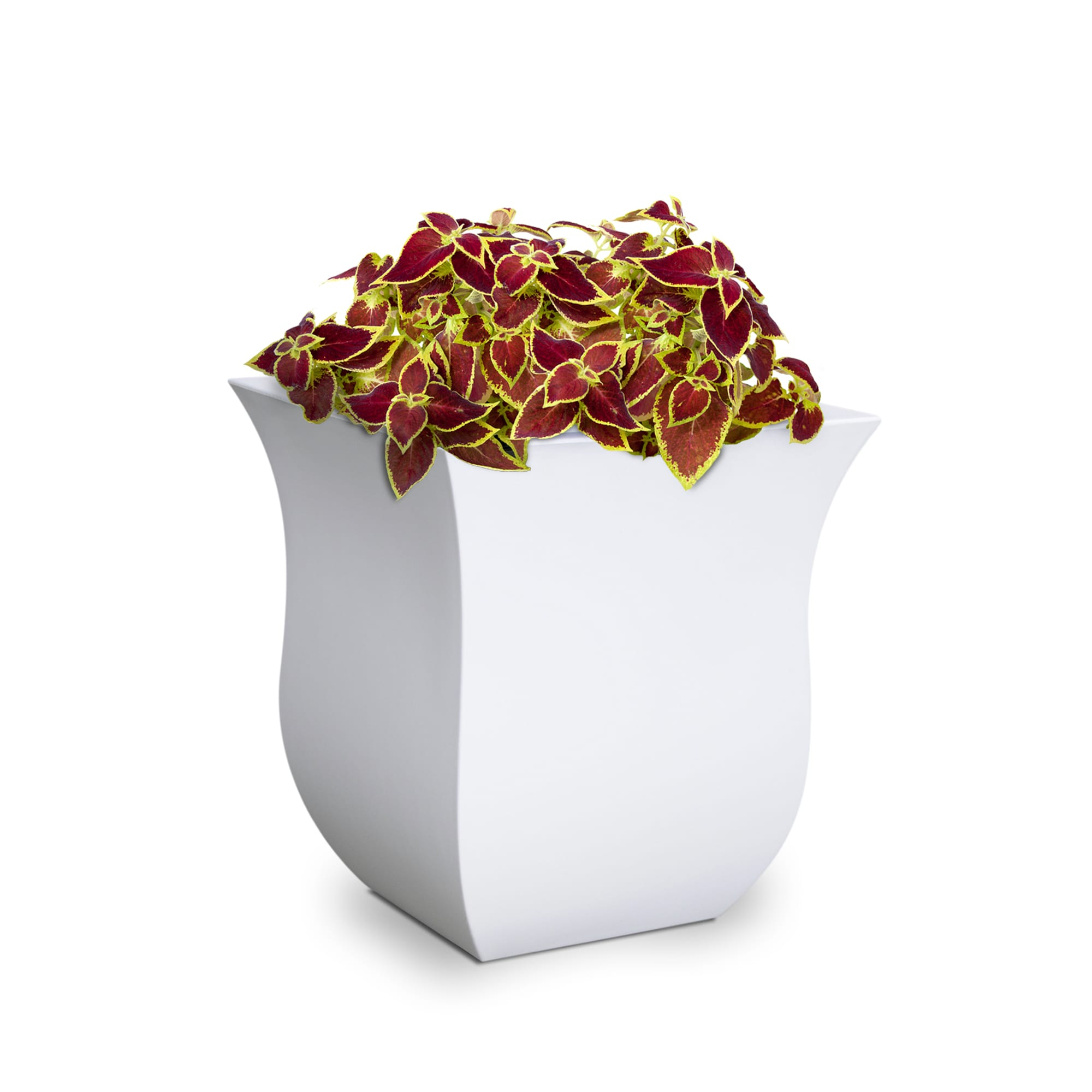 Mayne Valencia 16" x 16" x 18" Square Polyethylene Planter - White