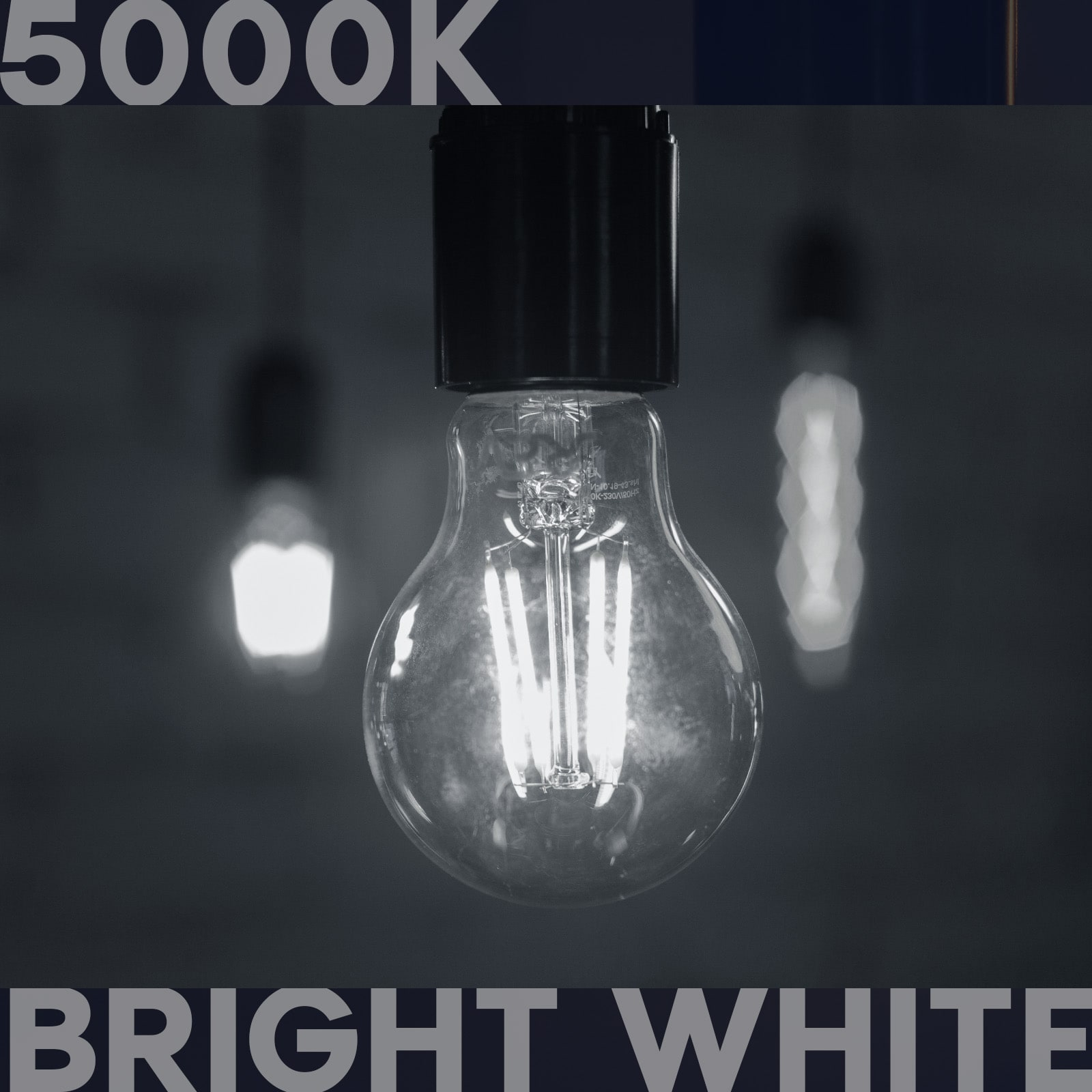 Luxrite Vintage A19 LED Light Bulb 100 Watt Equivalent 1600 Lumens 5000K Bright White Dimmable 12W Damp Rated UL E26 Base 2 Pack