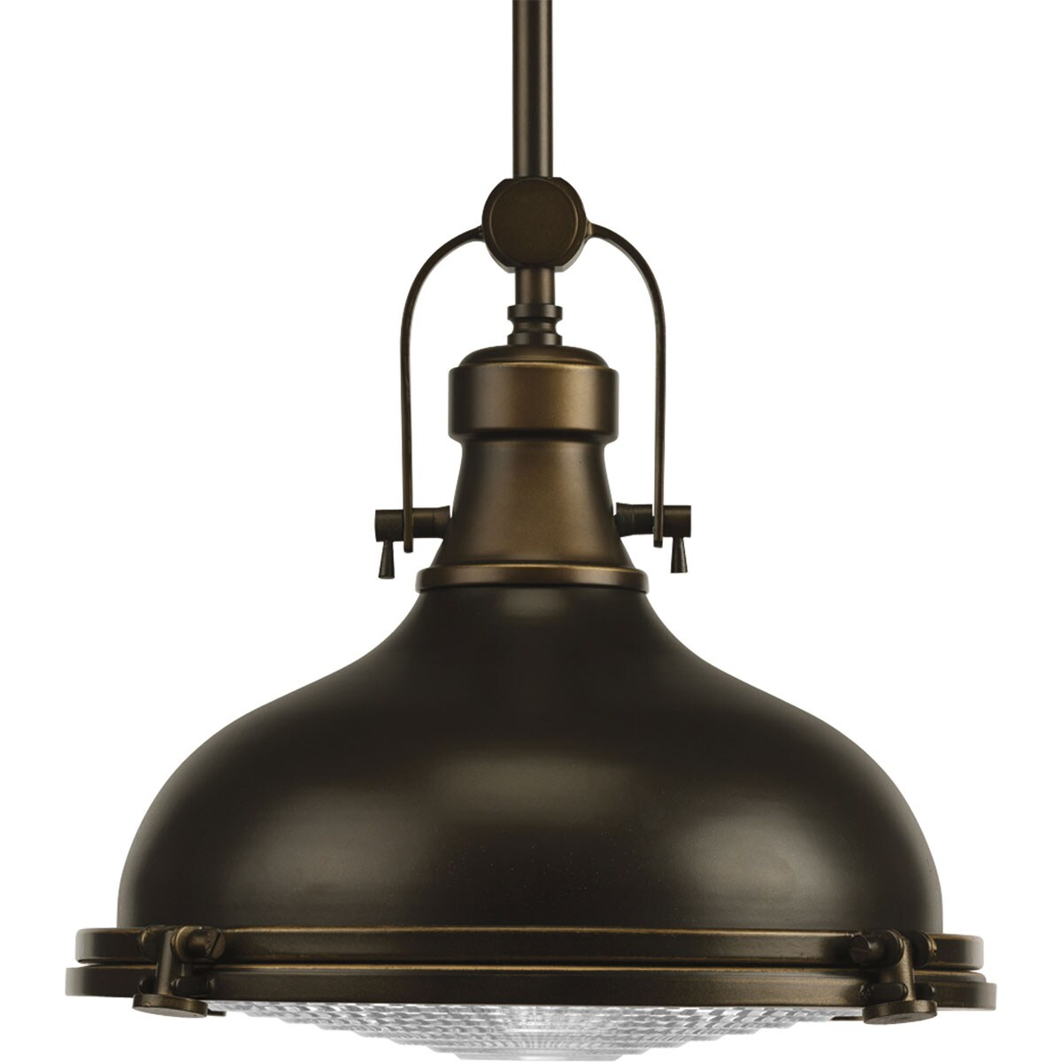 Progress Lighting P5188-108 10.5 in. Fresnel Lens 1-Light 100W Med Pendant Ceiling Light in Oil Rubbed Bronze