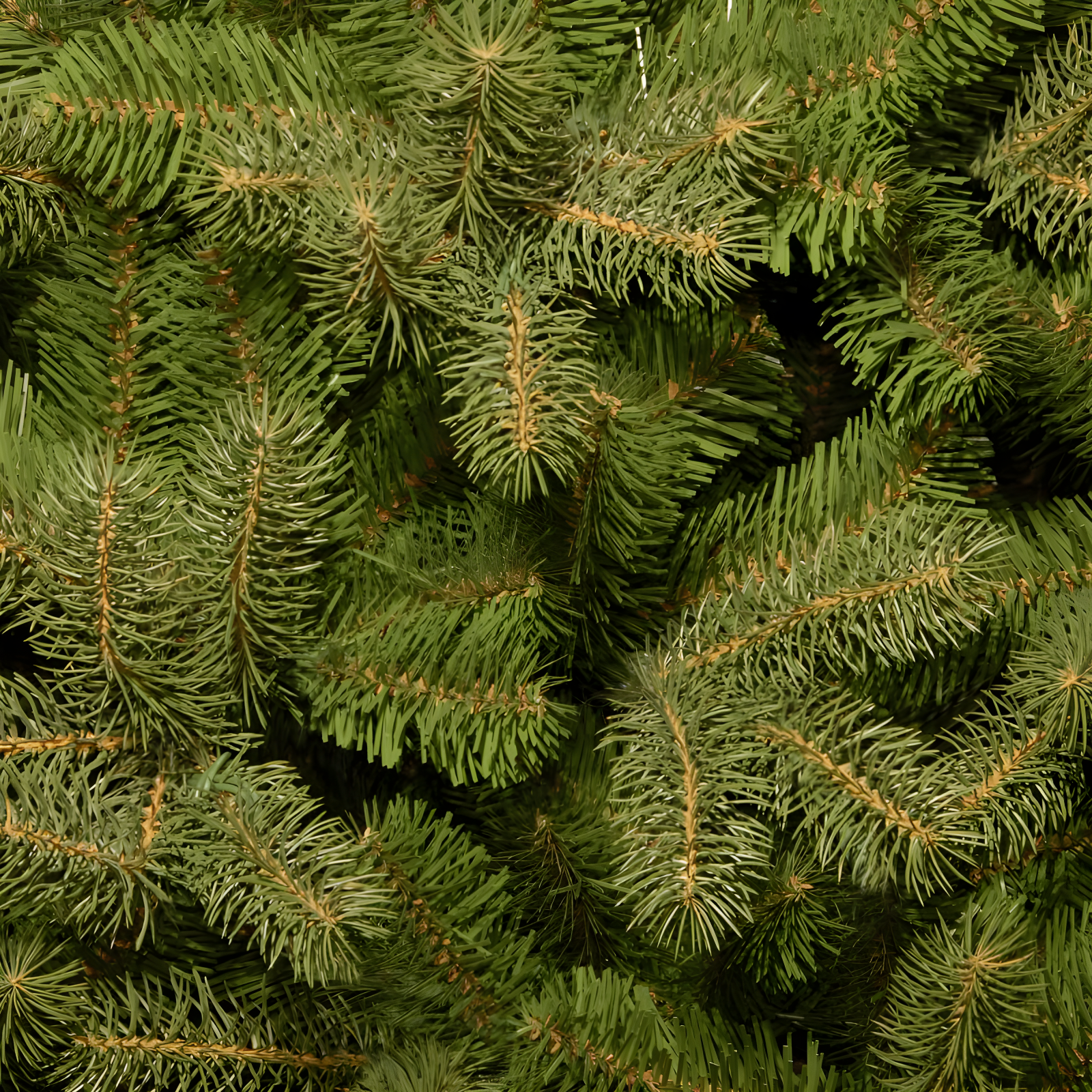 7.5' Unlit Feel Real Downswept Douglas Fir Artificial Christmas Tree - National Tree Company