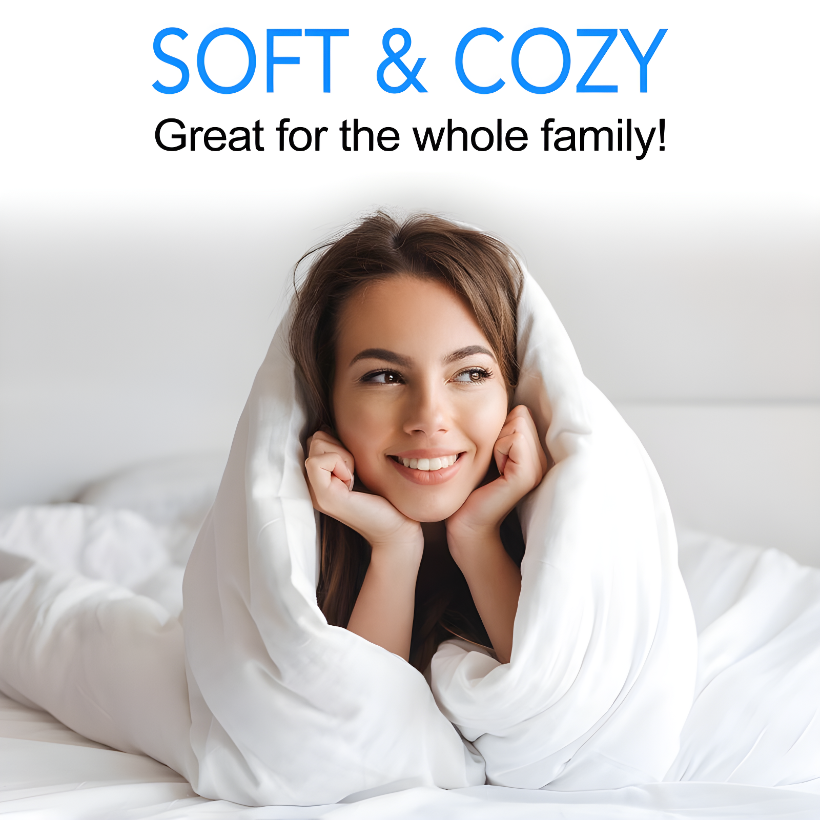 All Season Microfiber Down Alternative Comforter