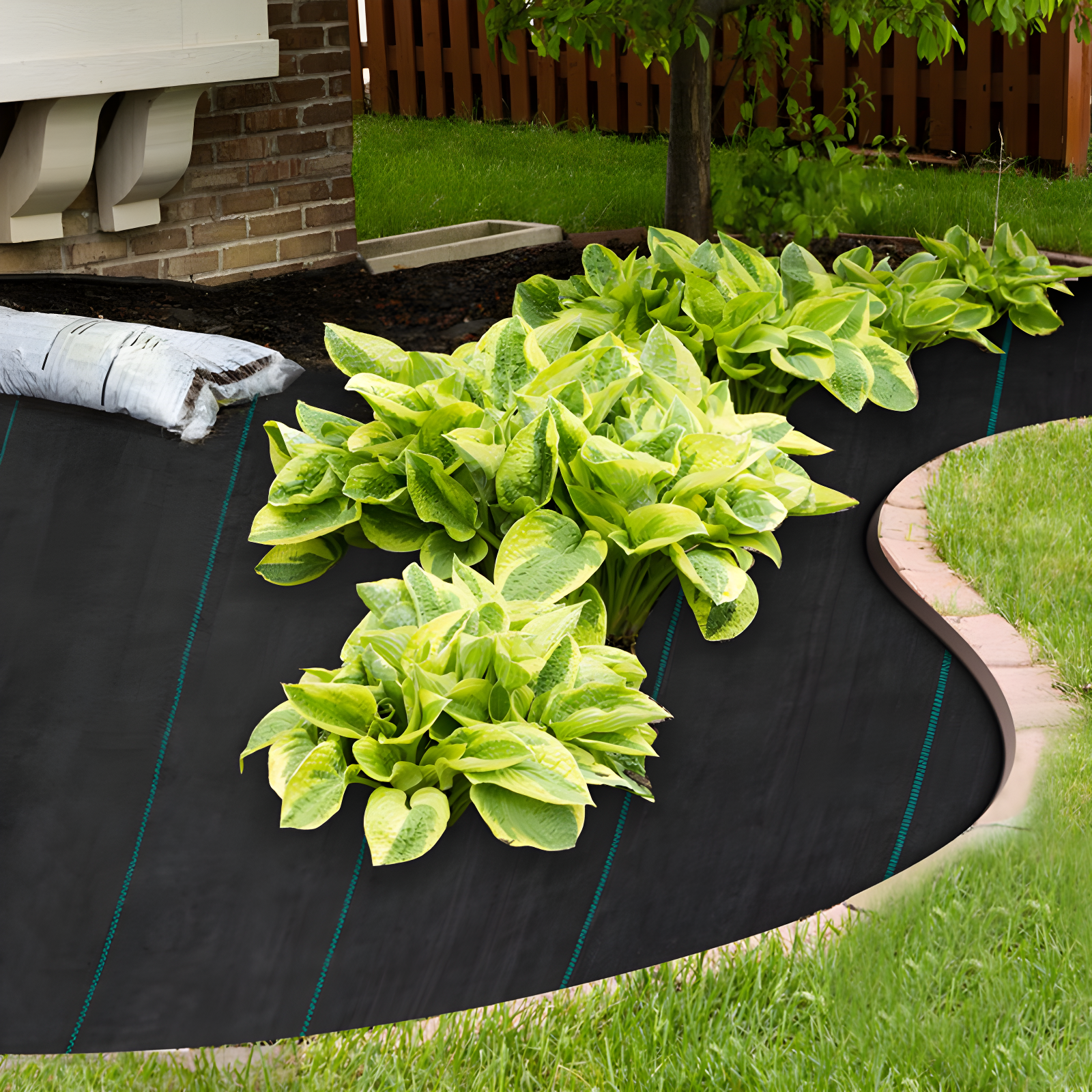 VEVOR VEVOR Growing Kit