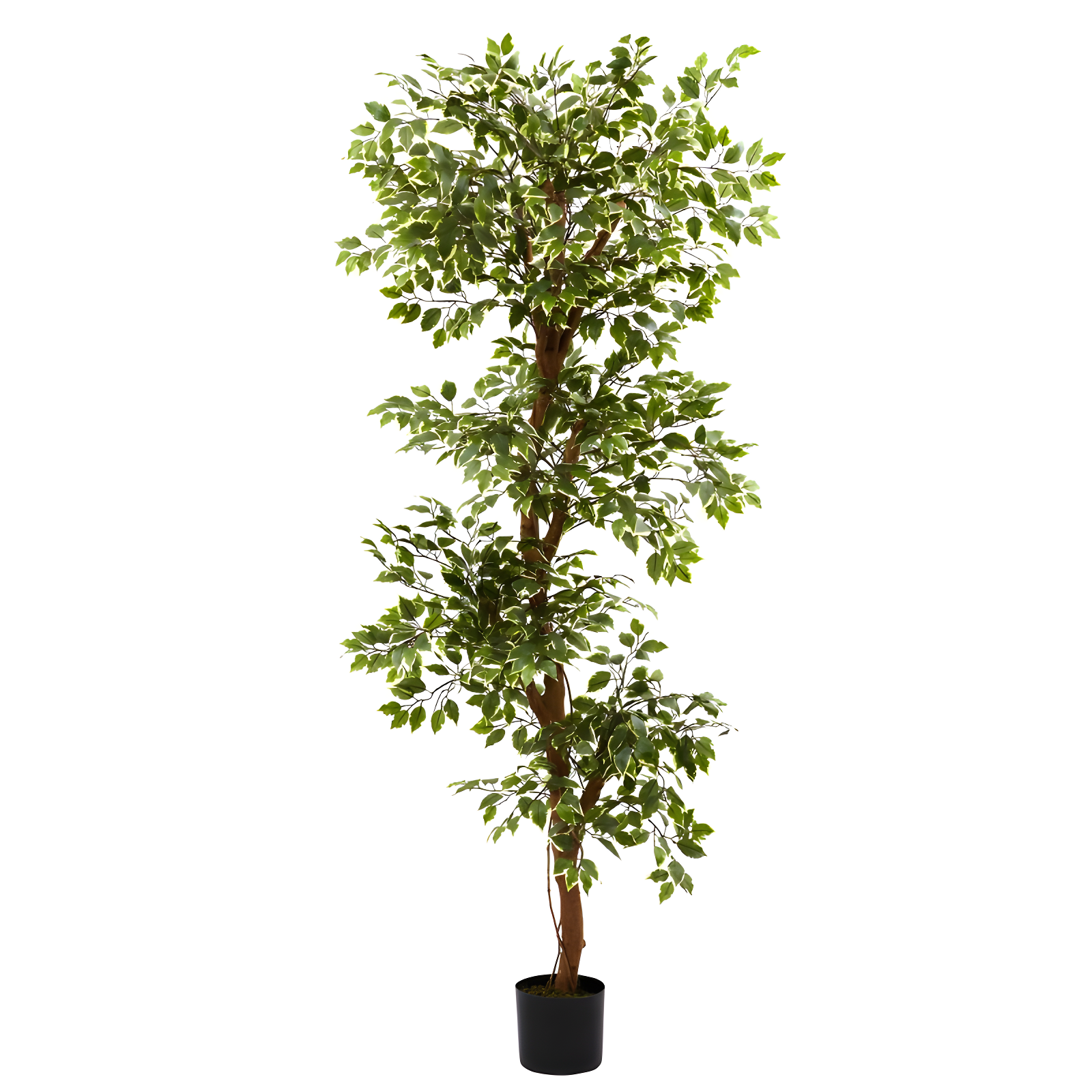 Nearly Natural 6-ft Variegated Ficus Tree