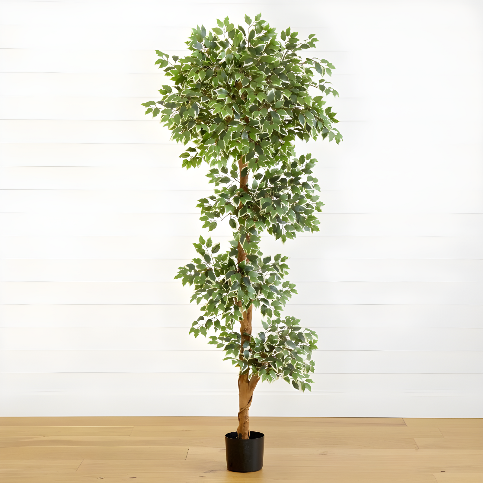 Nearly Natural 6-ft Variegated Ficus Tree