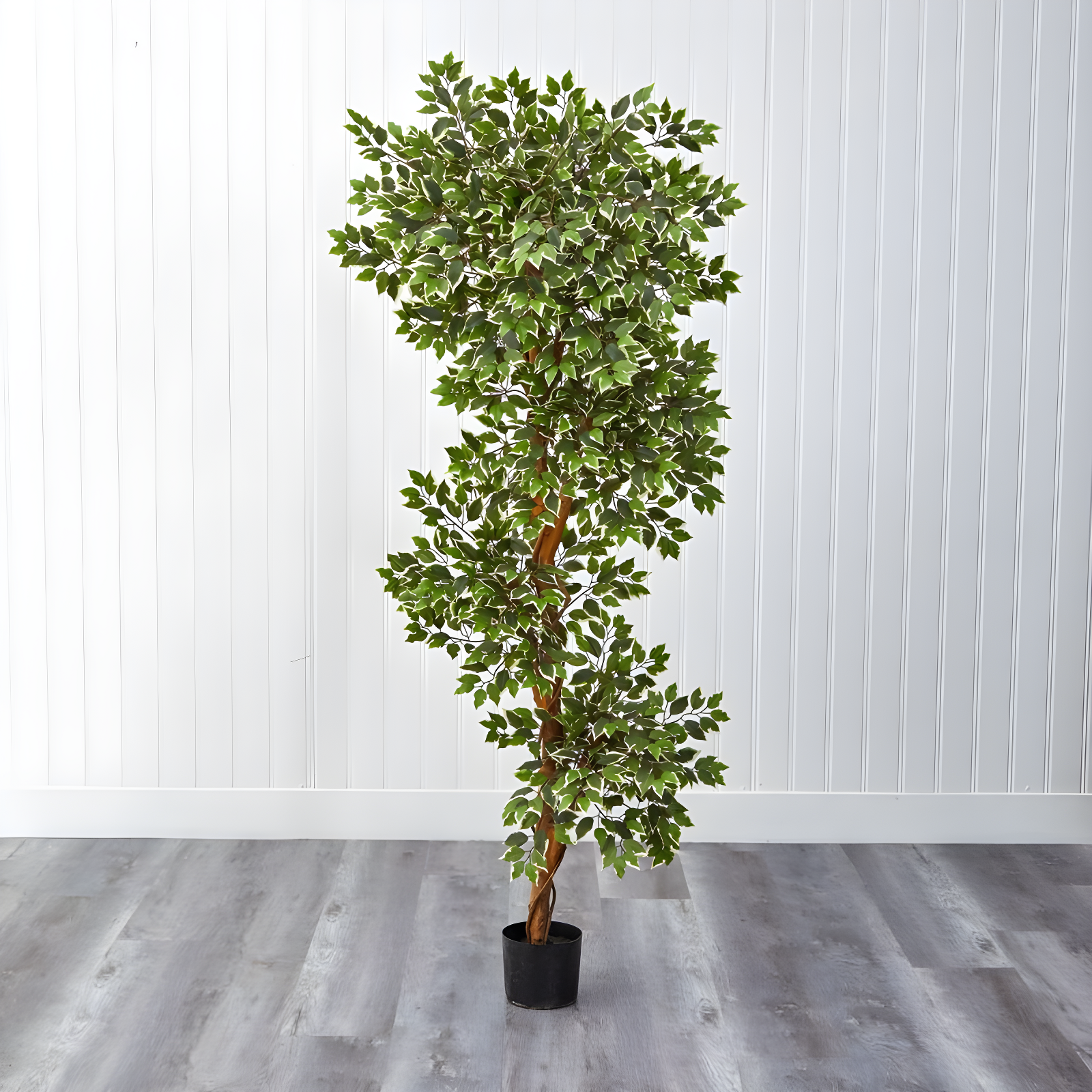Nearly Natural 6-ft Variegated Ficus Tree