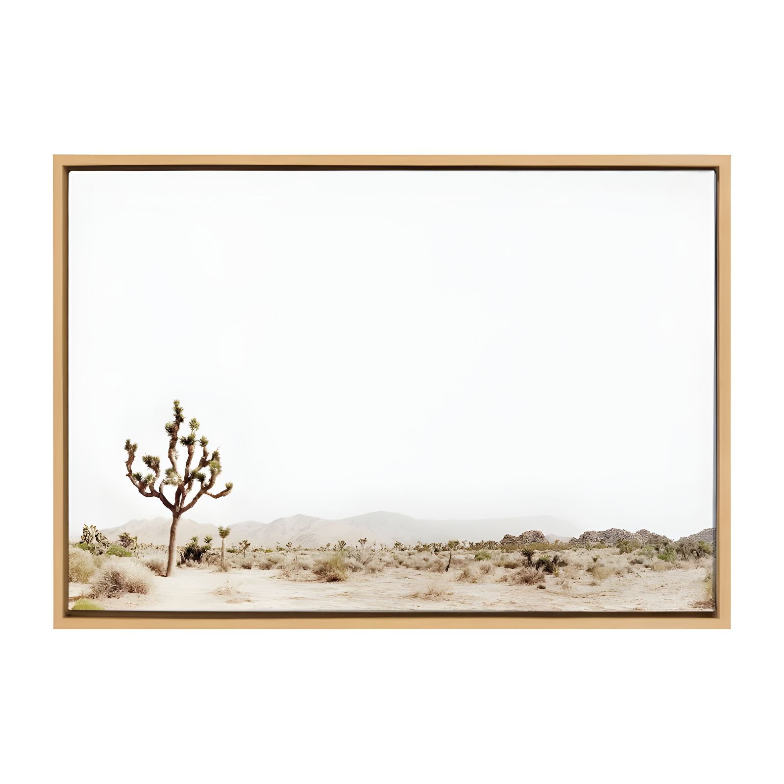 Kate and Laurel Sylvie Lone Joshua Tree Framed Canvas by Amy Peterson Art Studio, 23x33, Natural