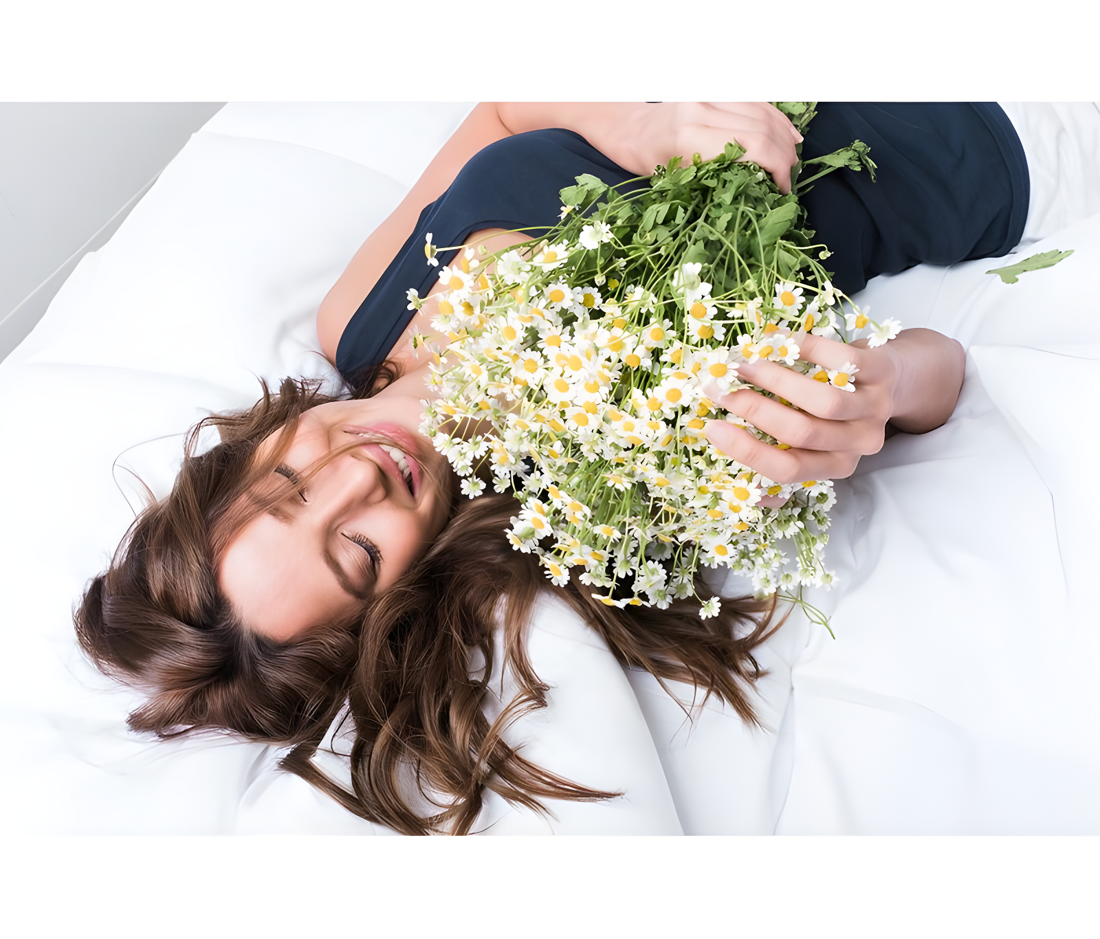 The Original Sleep Defense System Zippered Waterproof Bedbug Proof Dust Mite Proof Mattress Encasement