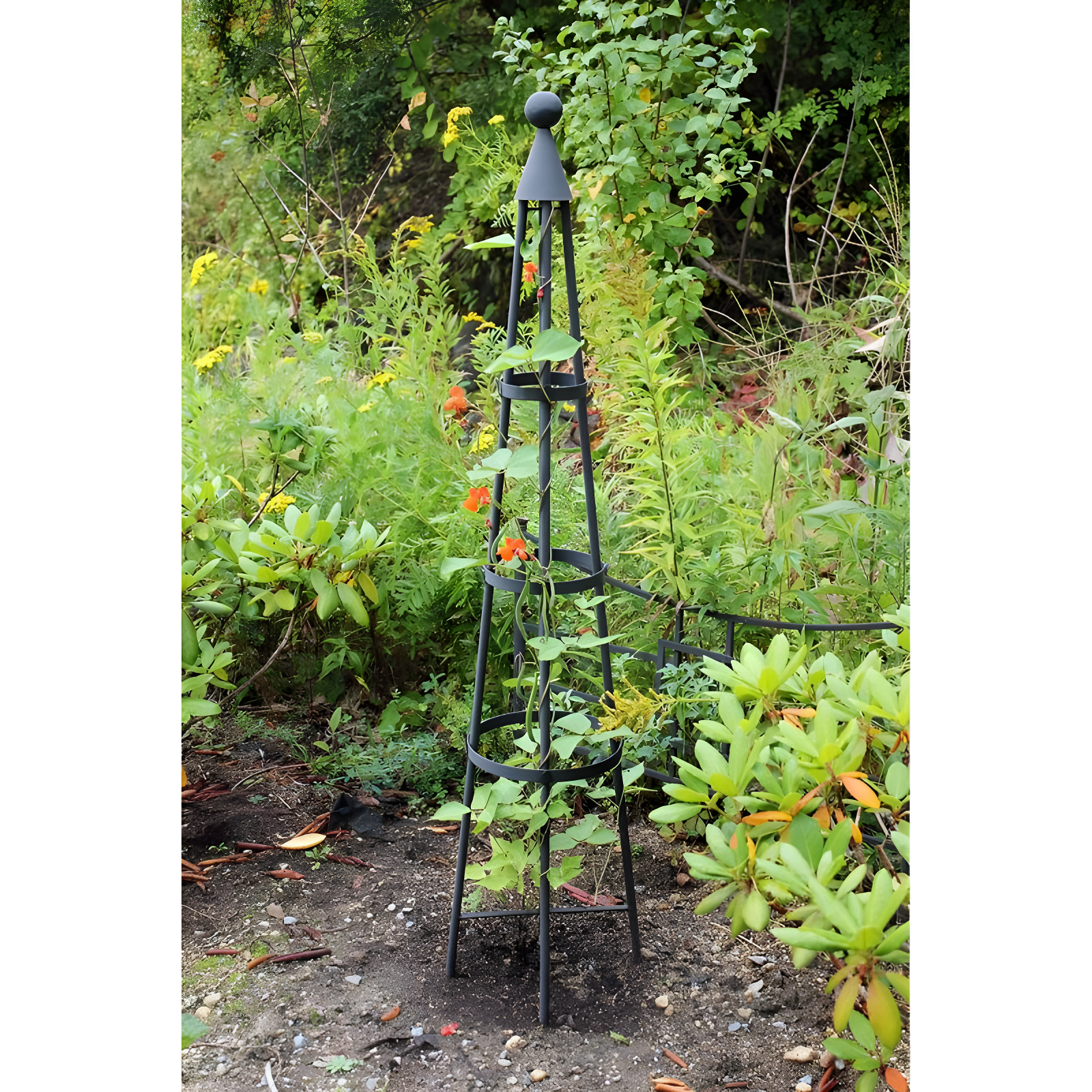 60" Tall Iron Obelisk Garden Trellis Graphite Powder Coat Finish - Achla Designs