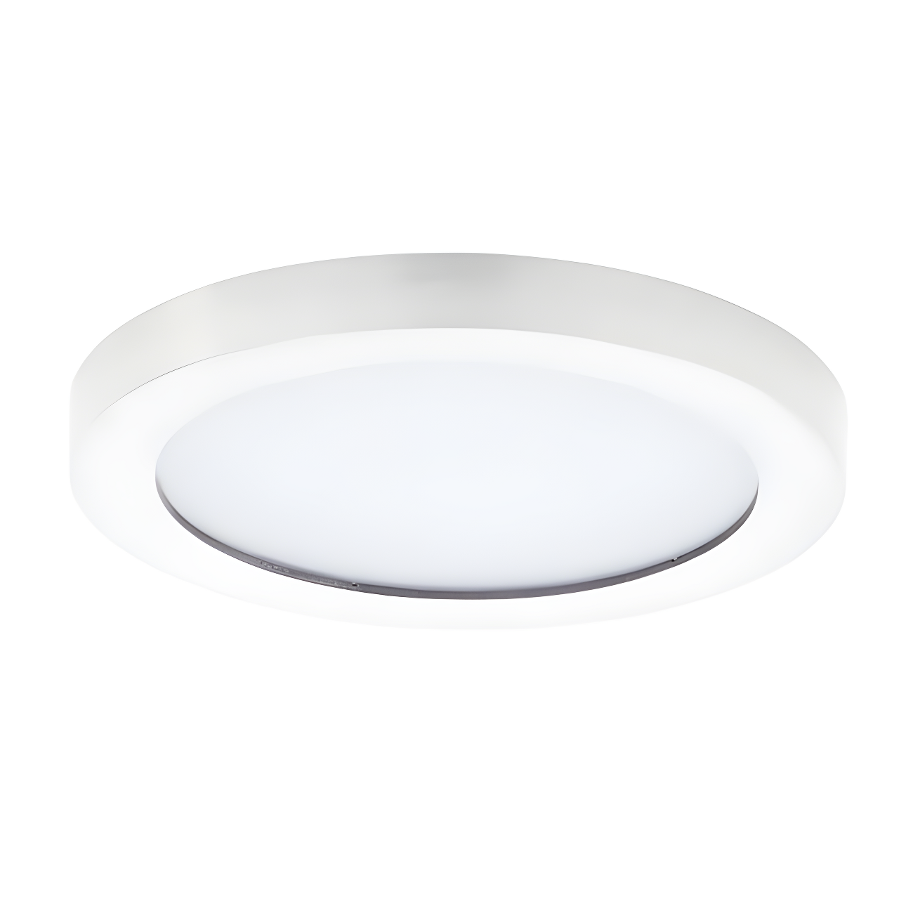 5 in. Chip White LED Flush Mount Ceiling Light