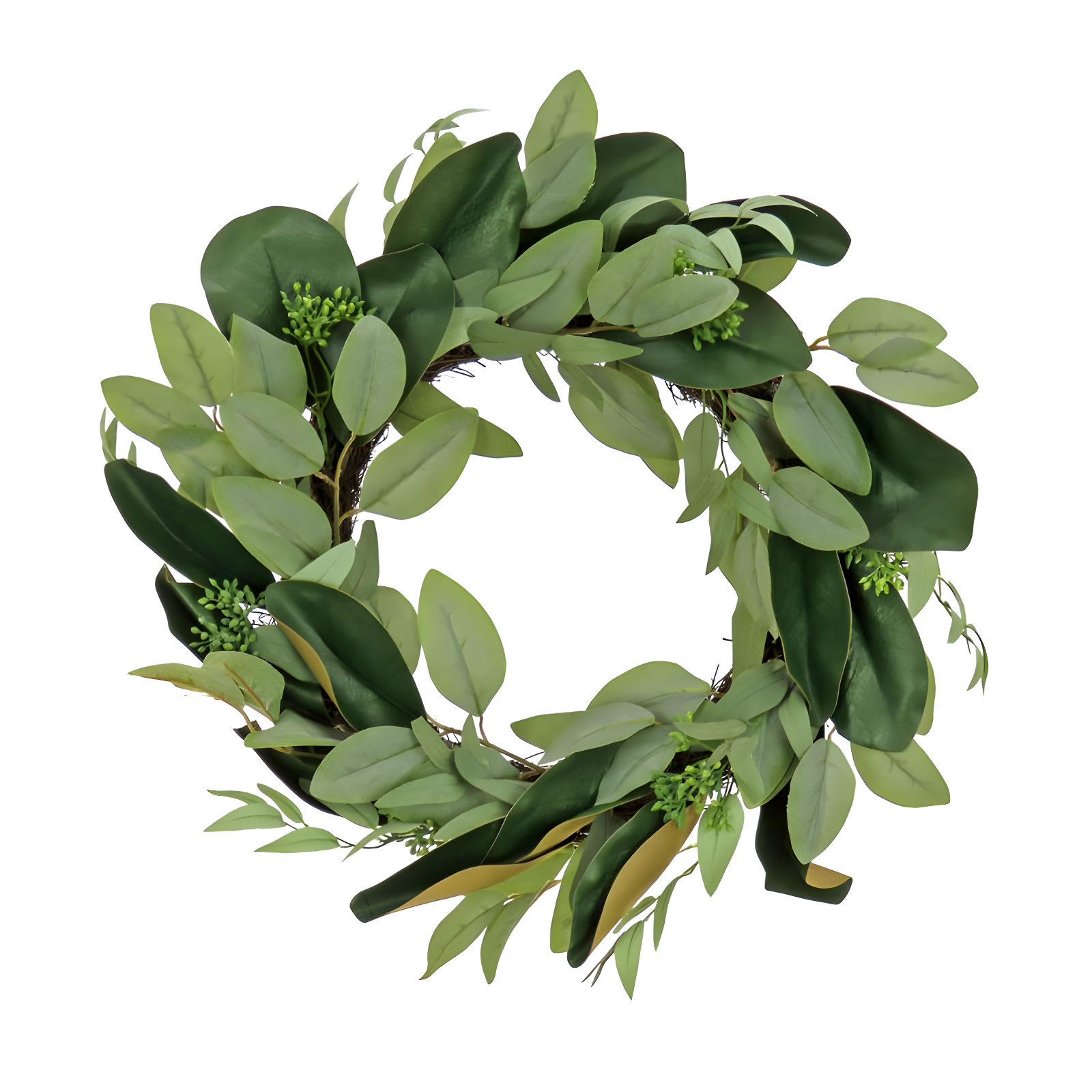 22" Artificial Eucalyptus and Magnolia Leaf Woven Branch Base Wreath - National Tree Company