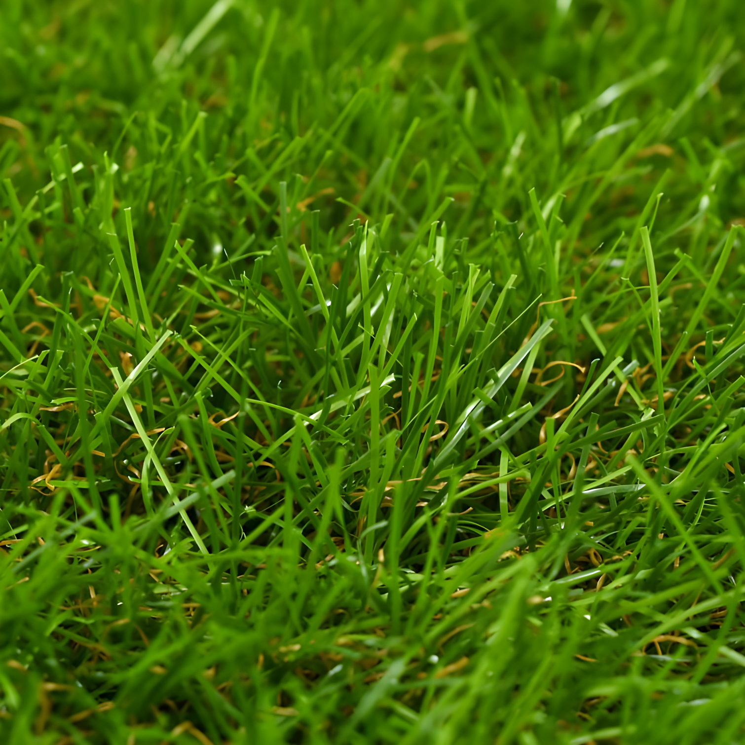 VidaXL Artificial Grass Fake Grass Artificial Turf