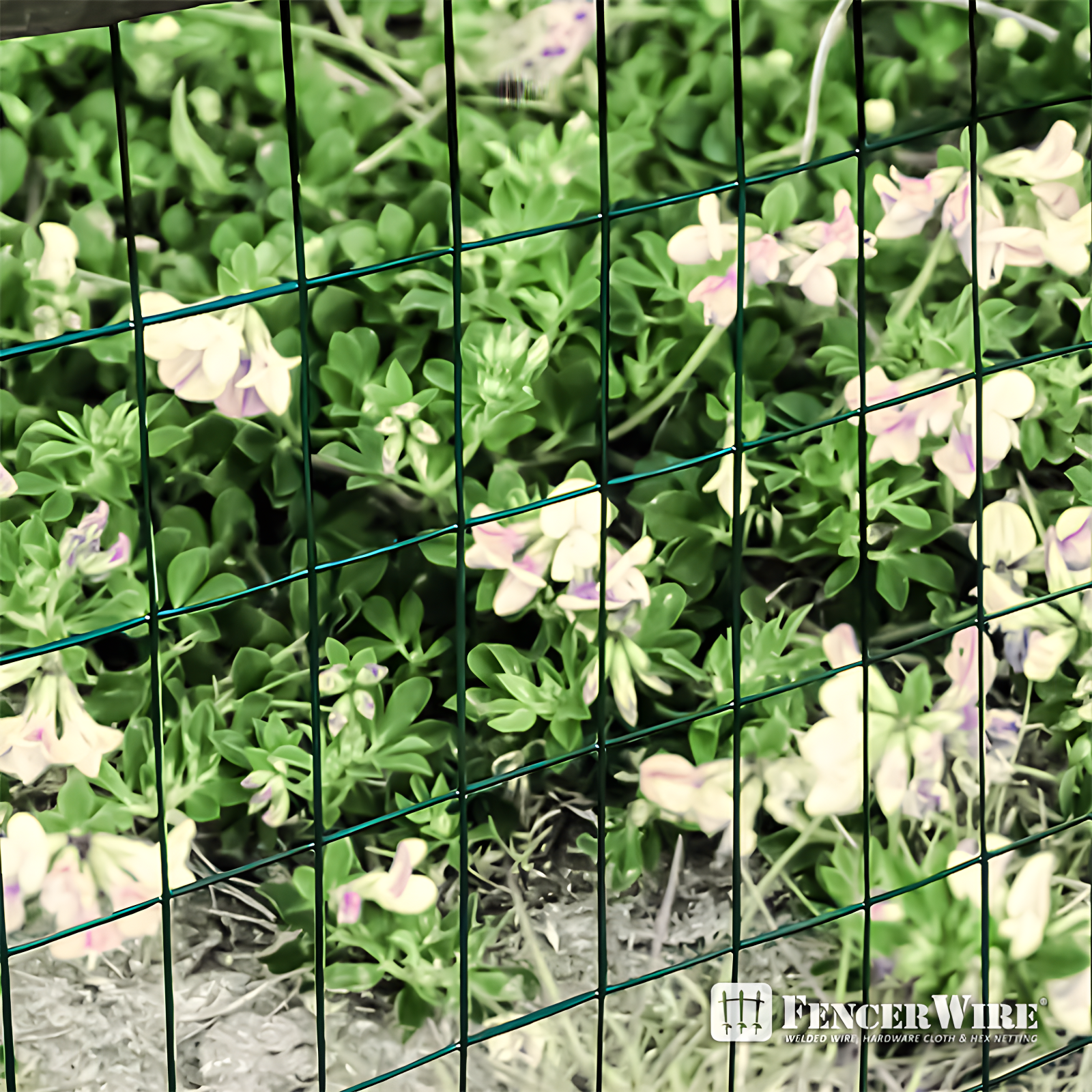 Fencer Wire Fencer Wire Vinyl Coated 16 Gauge Welded Fence Wire Roll, Mesh Size 2-Inch x 3-Inch