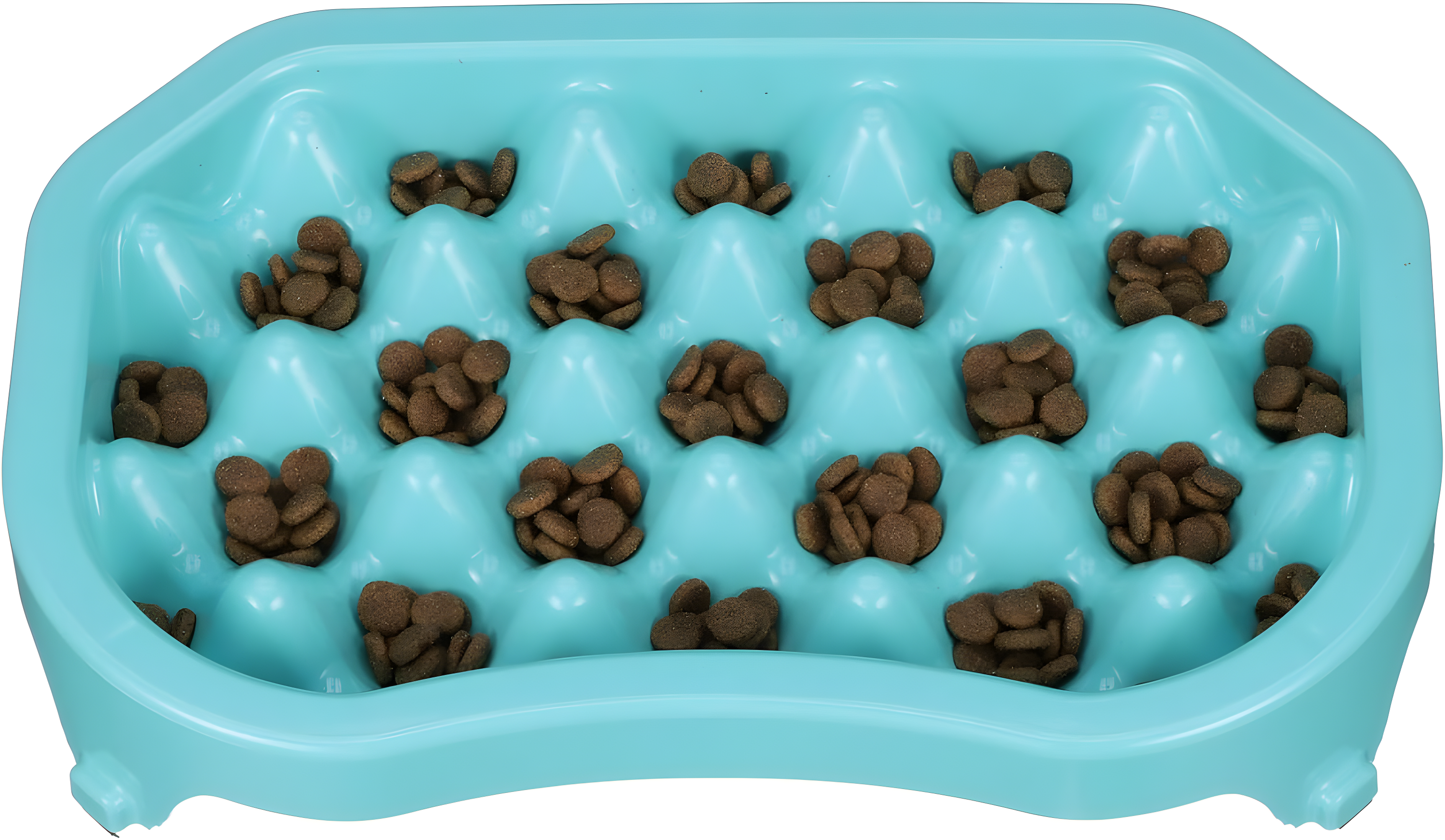 Neater Pet Brands Neater Slow Feeder to Improve Digestion, Stop Obesity, and Slow Down Eating, 6 Cups, Aquamarine