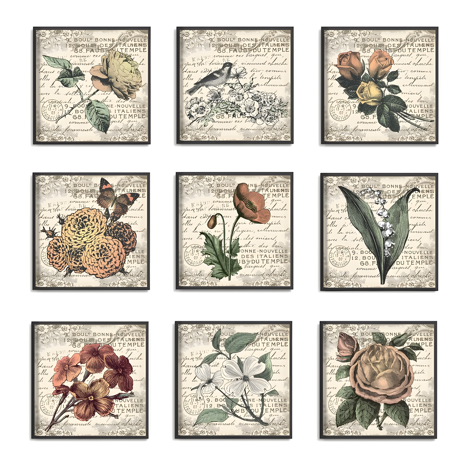 Ophelia & Co. Firebaugh " French Botanical Illustrations " by In House Art 9 - Pieces