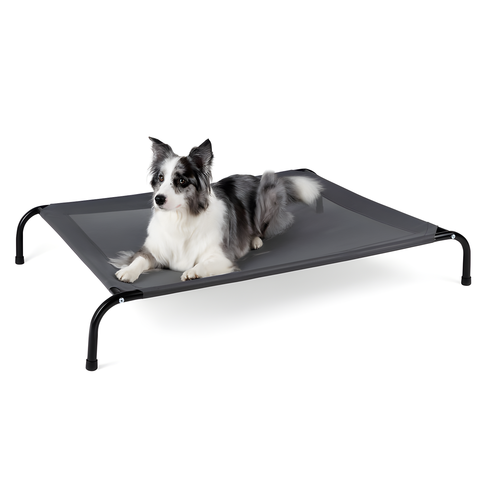 Tucker Murphy Pet™ 49 inches Dog Bed Cot for Large Dogs, Outdoor Raised Dog Bed