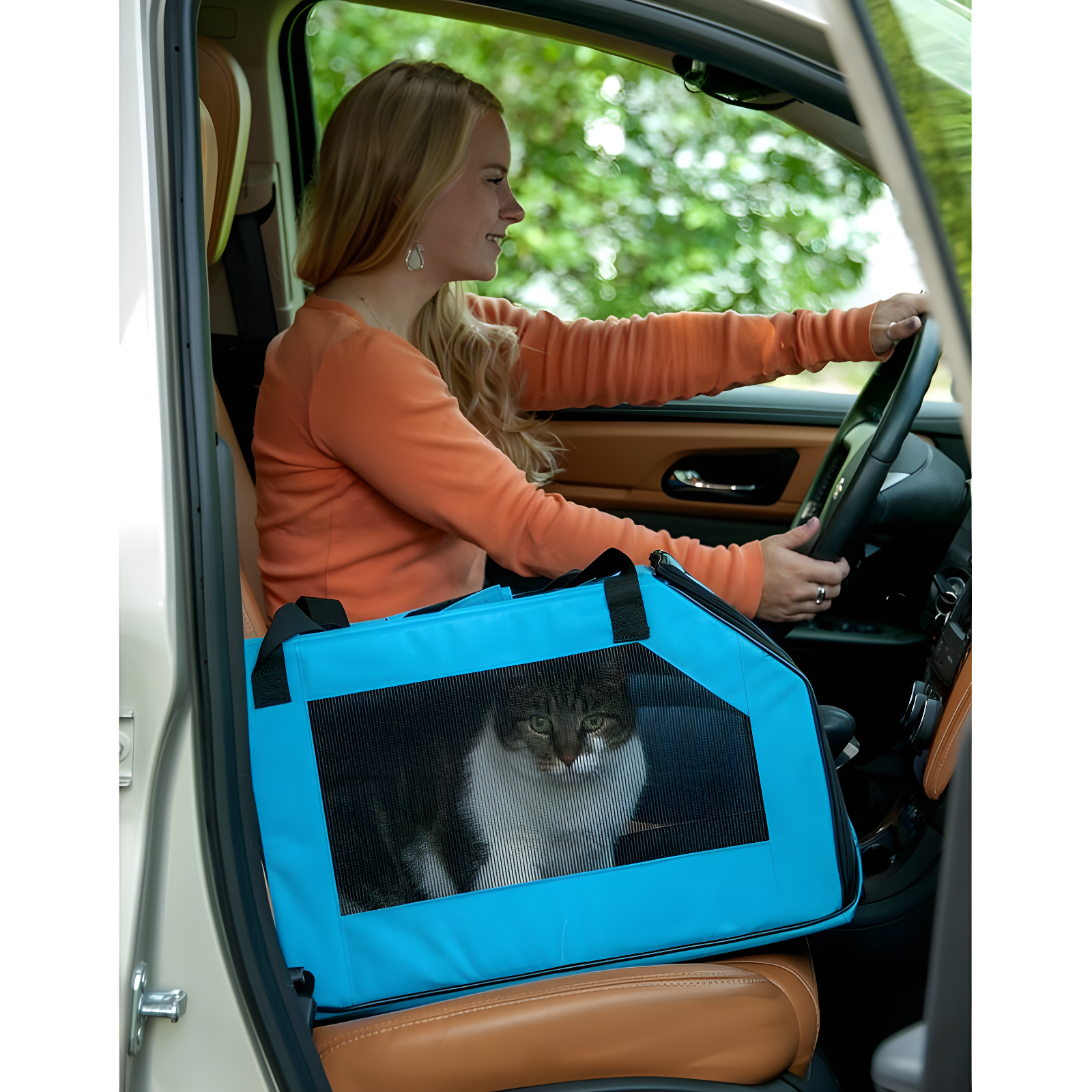 Pet Gear Plastic Pet Carrier with 2 Doors