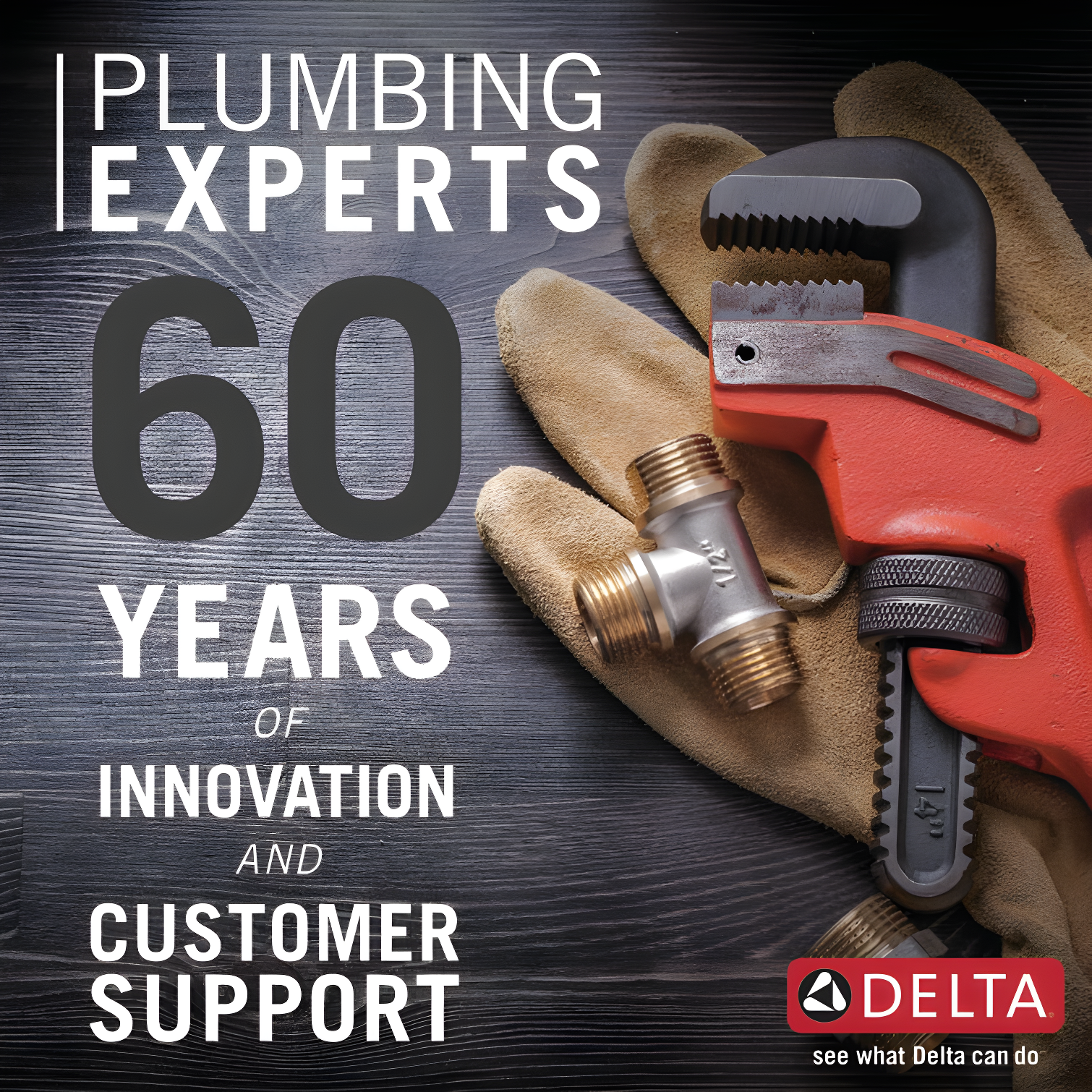 Delta Rain Adjustable Shower Head