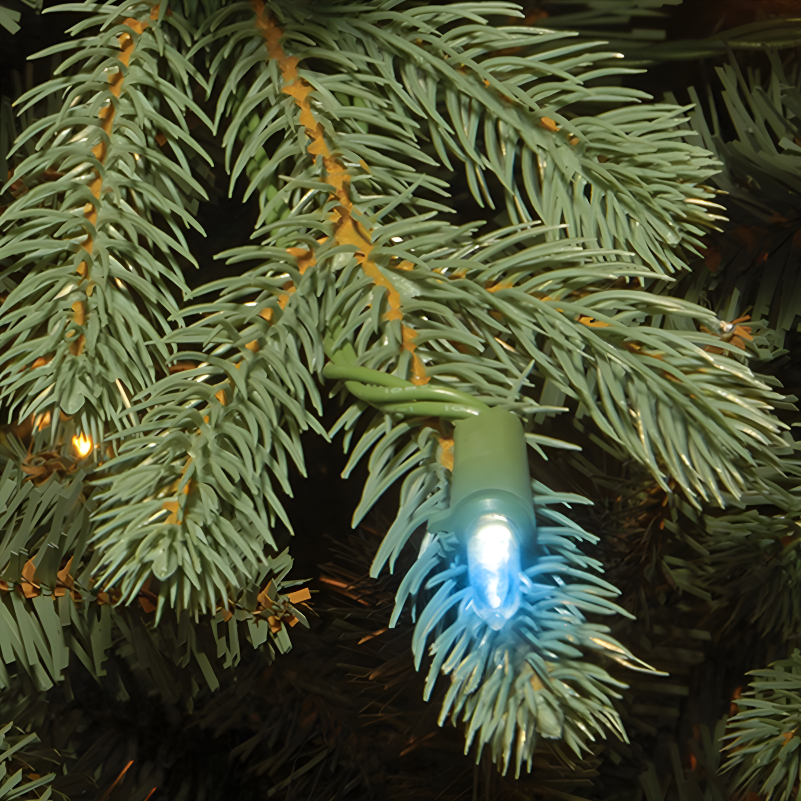 National Tree Company Replacement Bulbs, 25 Multicolor