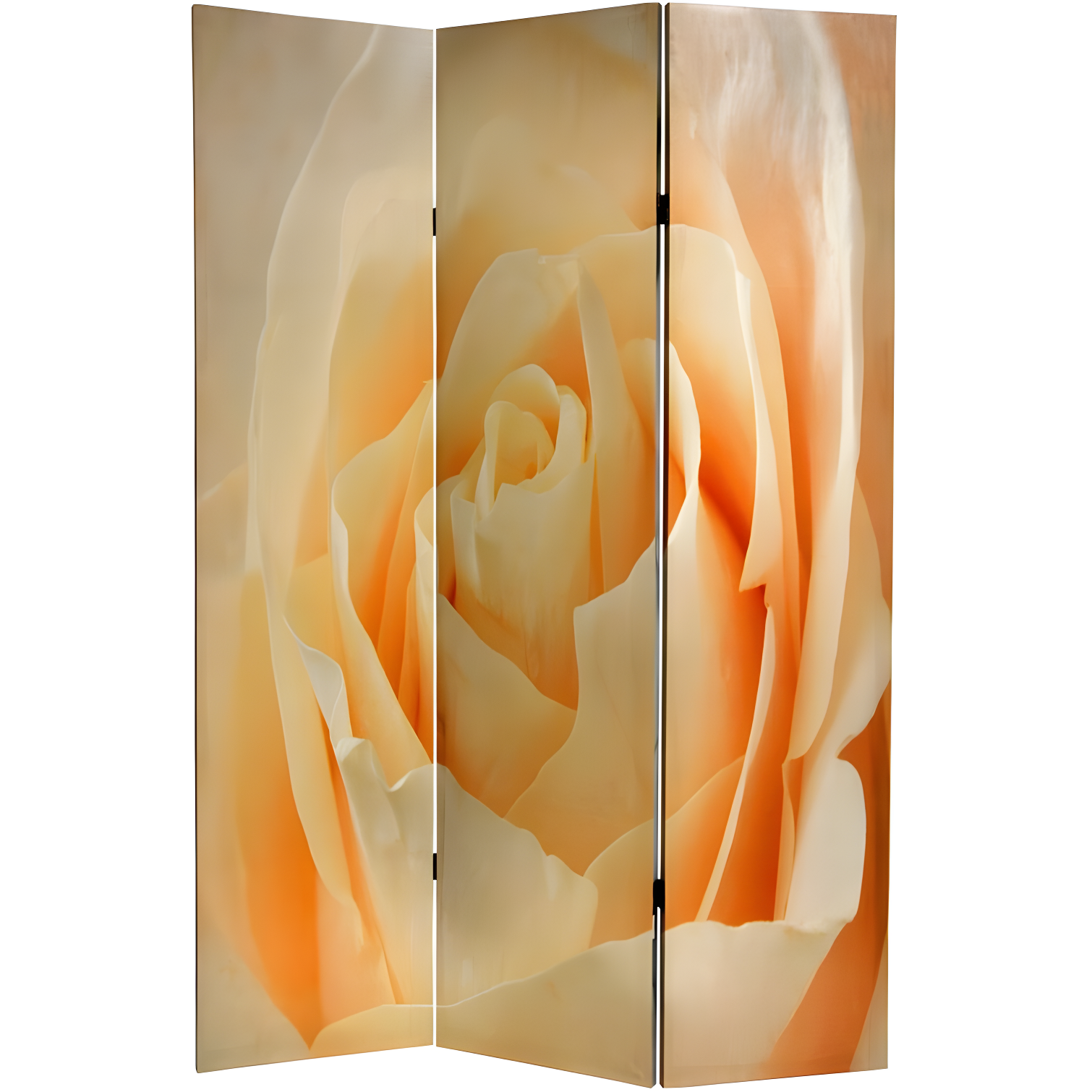 Red Lantern 6 ft. Tall Floral Double Sided Room Divider, 71 inches high and 3 Panels wide