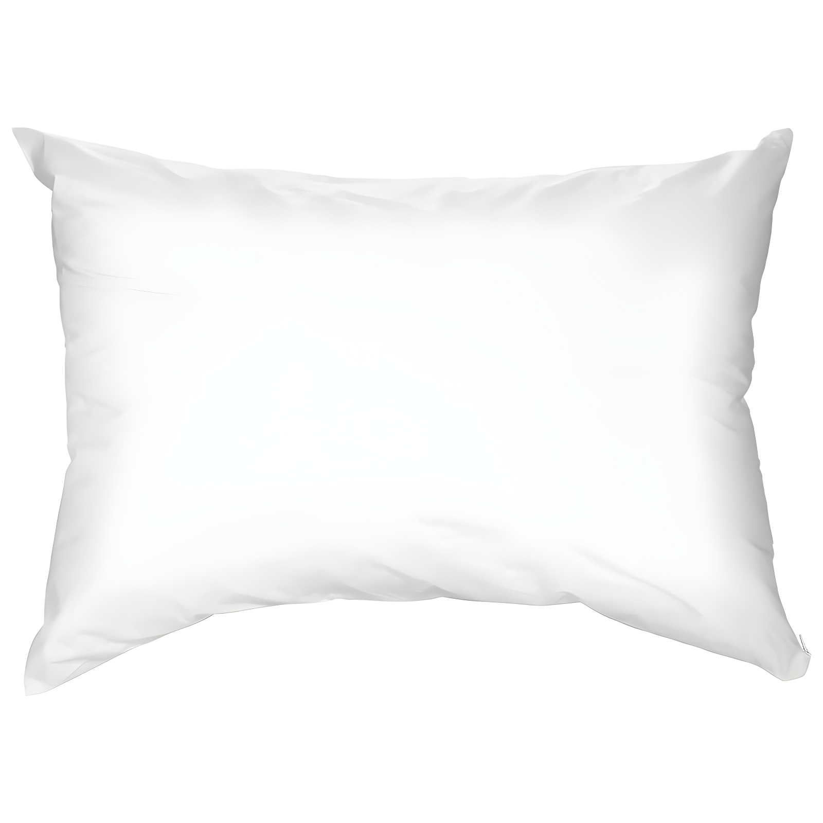 Sealy Jumbo Cotton Touch Pillow Protector: Zippered, Woven Fabric, Machine Washable, Tumble Dry, 65% Cotton 35% Polyester