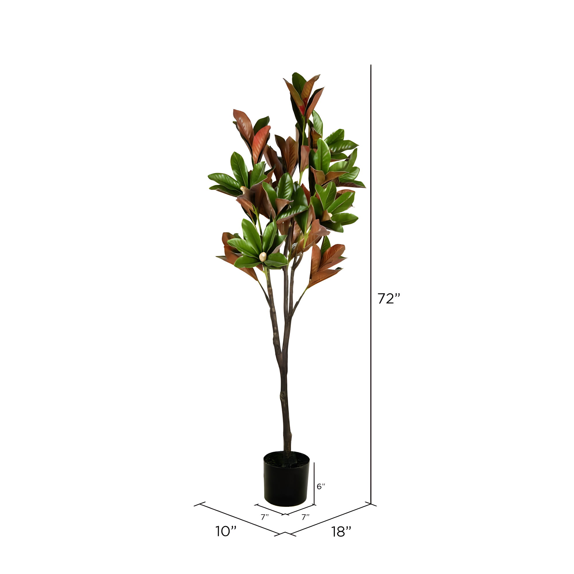 Vickerman 6' Artificial Green Magnolia Tree in Black Planters Pot.