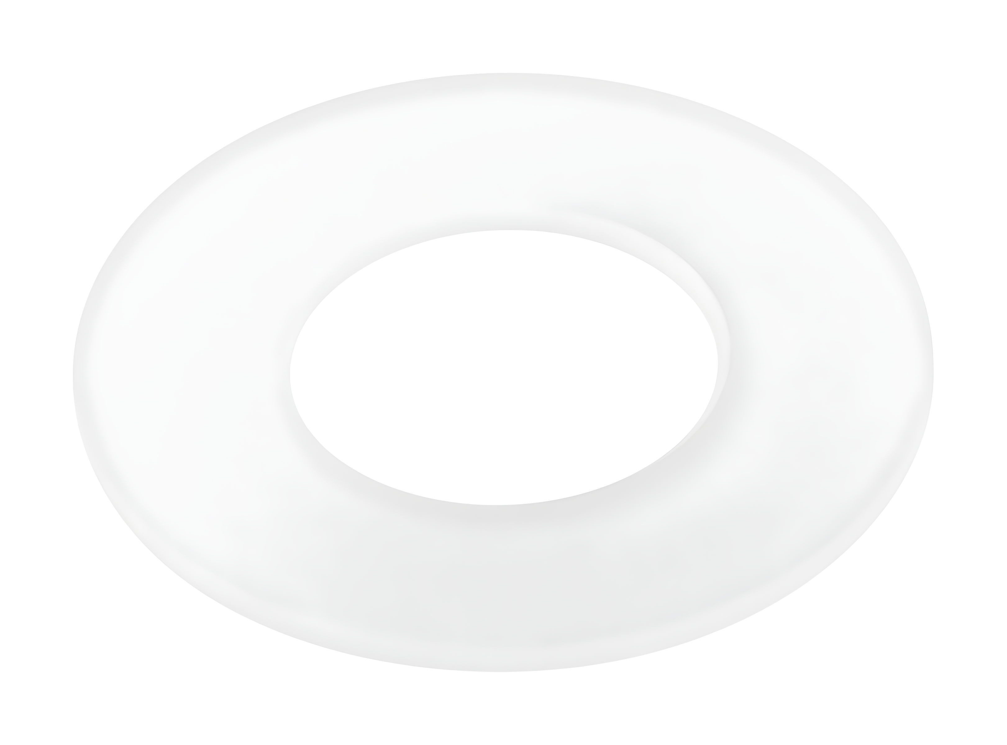 Dual Flush Canister Seal