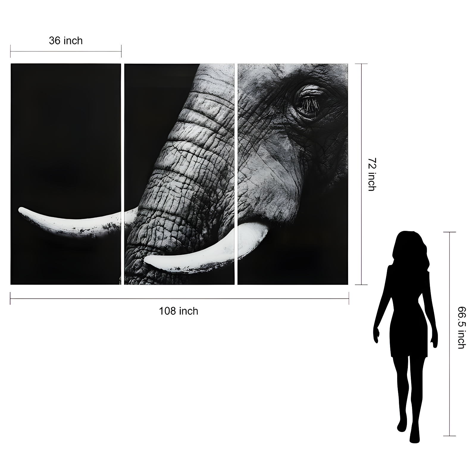 Empire Art Direct " Elephant ABC " 3 - Pieces Painting Print