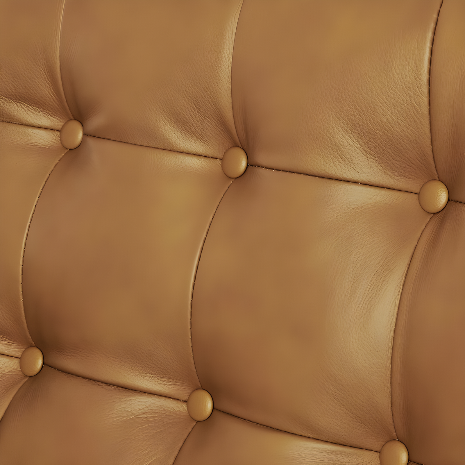 Modway Exalt Tufted Leather Loveseat